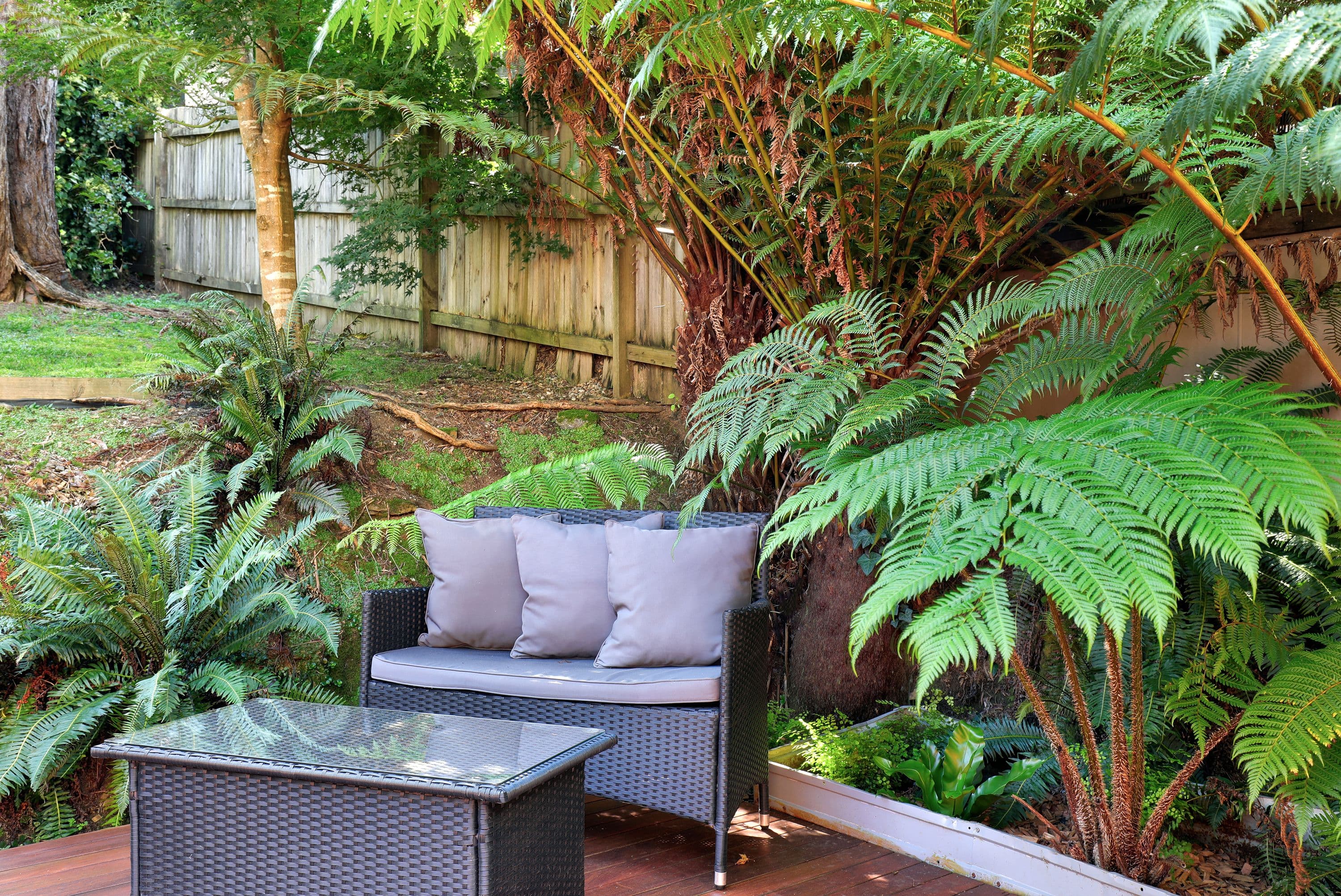 44 Rodriguez Avenue, Blackheath NSW 2785, Blackheath - Thumbnail 4
