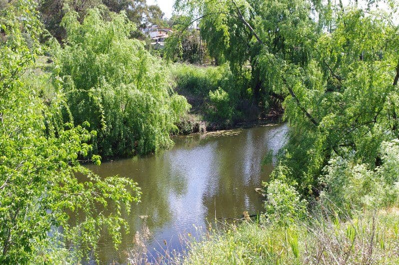 7C Olney Court, Balga WA 6061, Balga - Image 1