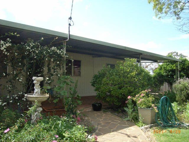 31 Slaughter Street, THREE SPRINGS WA 6519, Three Springs - Thumbnail 2