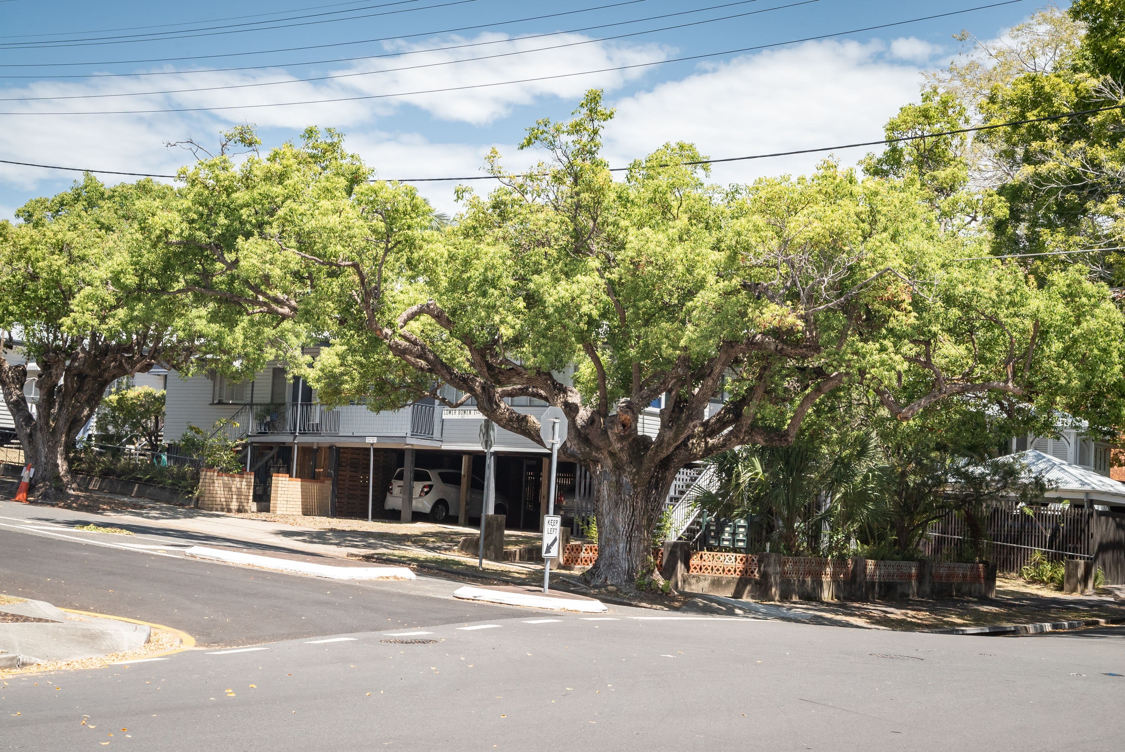 26 Elystan Road, New Farm QLD 4005, New Farm - Thumbnail 3