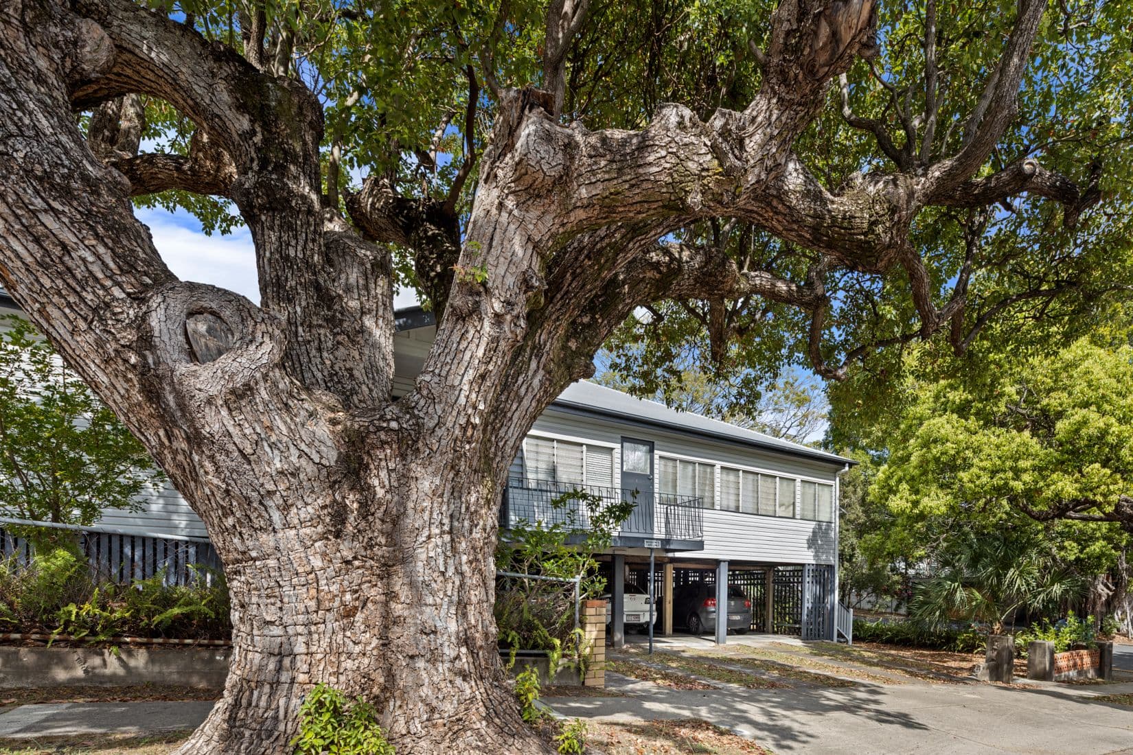 26 Elystan Road, New Farm QLD 4005, New Farm - Thumbnail 6