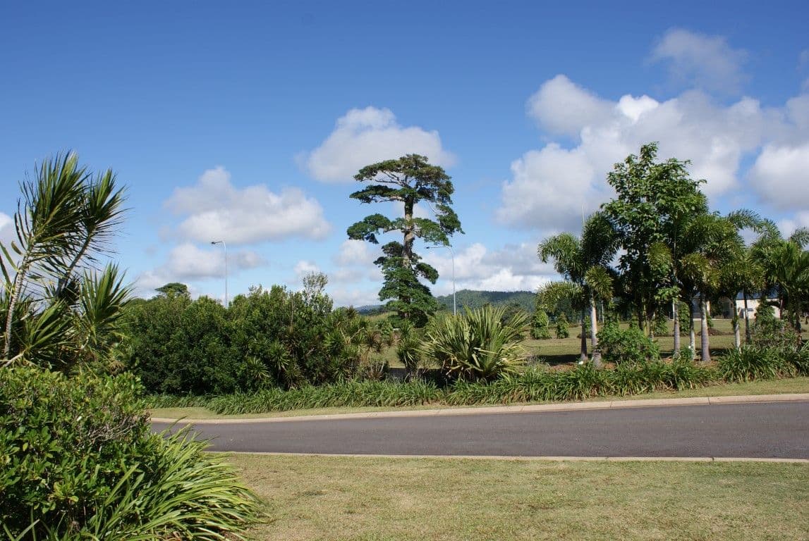 6 Rise Crescent, MISSION BEACH QLD 4852, Mission Beach - Thumbnail 7