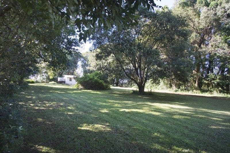DALWOOD NSW 2477, Dalwood - Thumbnail 2