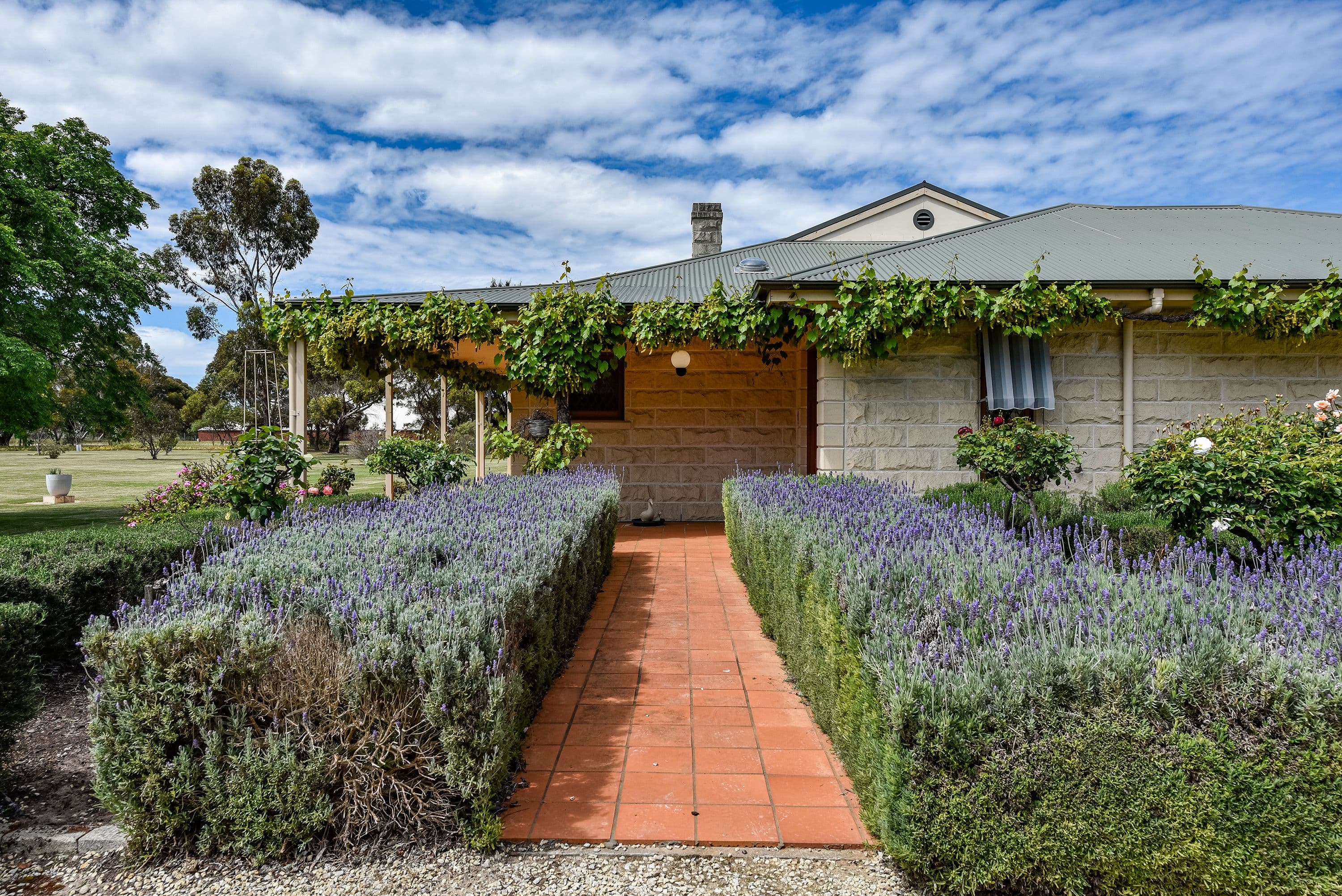 299 Park Terrace, Keith SA 5267, Keith - Thumbnail 7