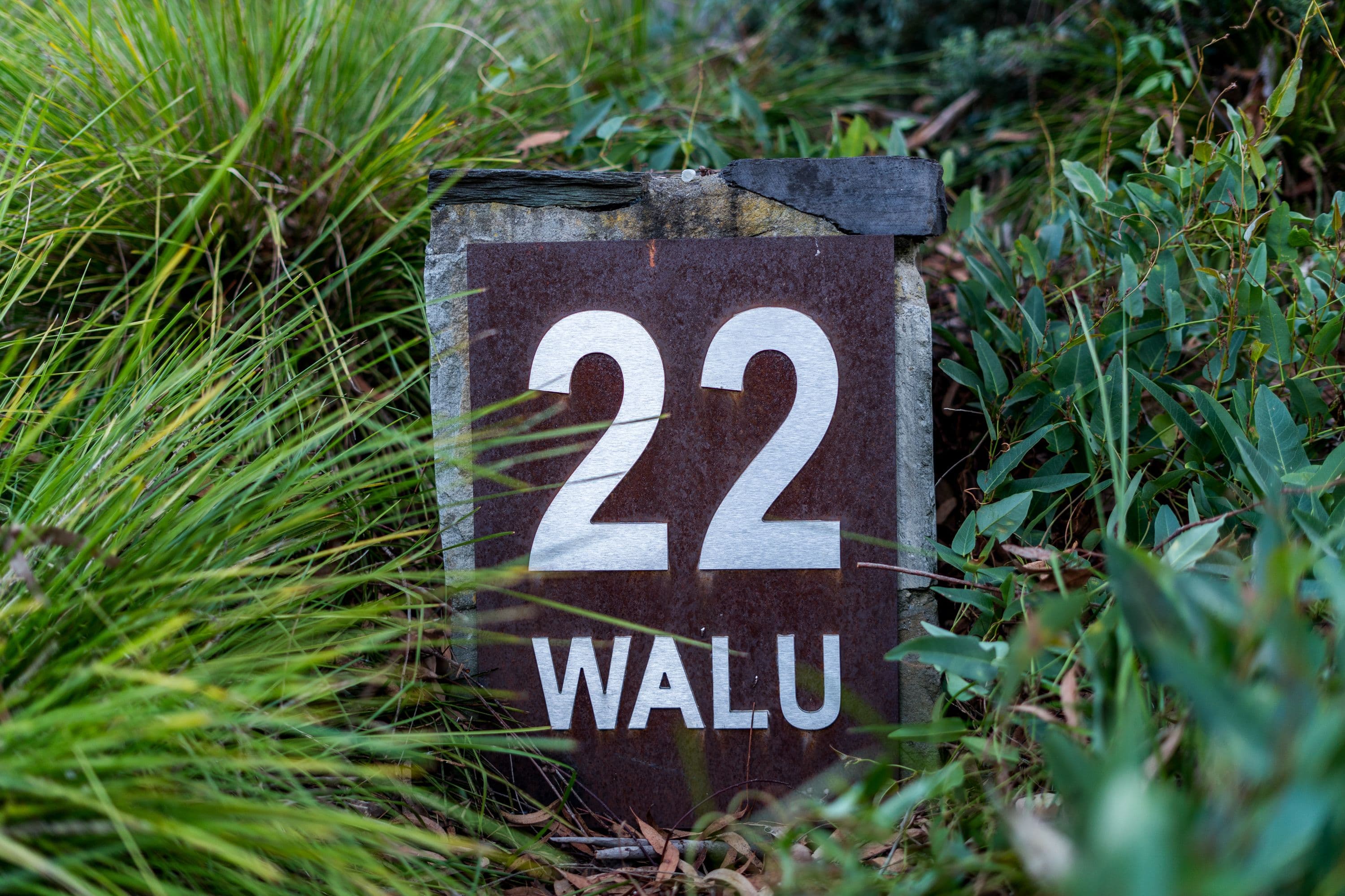 22 Walu Street, Aranda ACT 2614, Aranda - Thumbnail 3