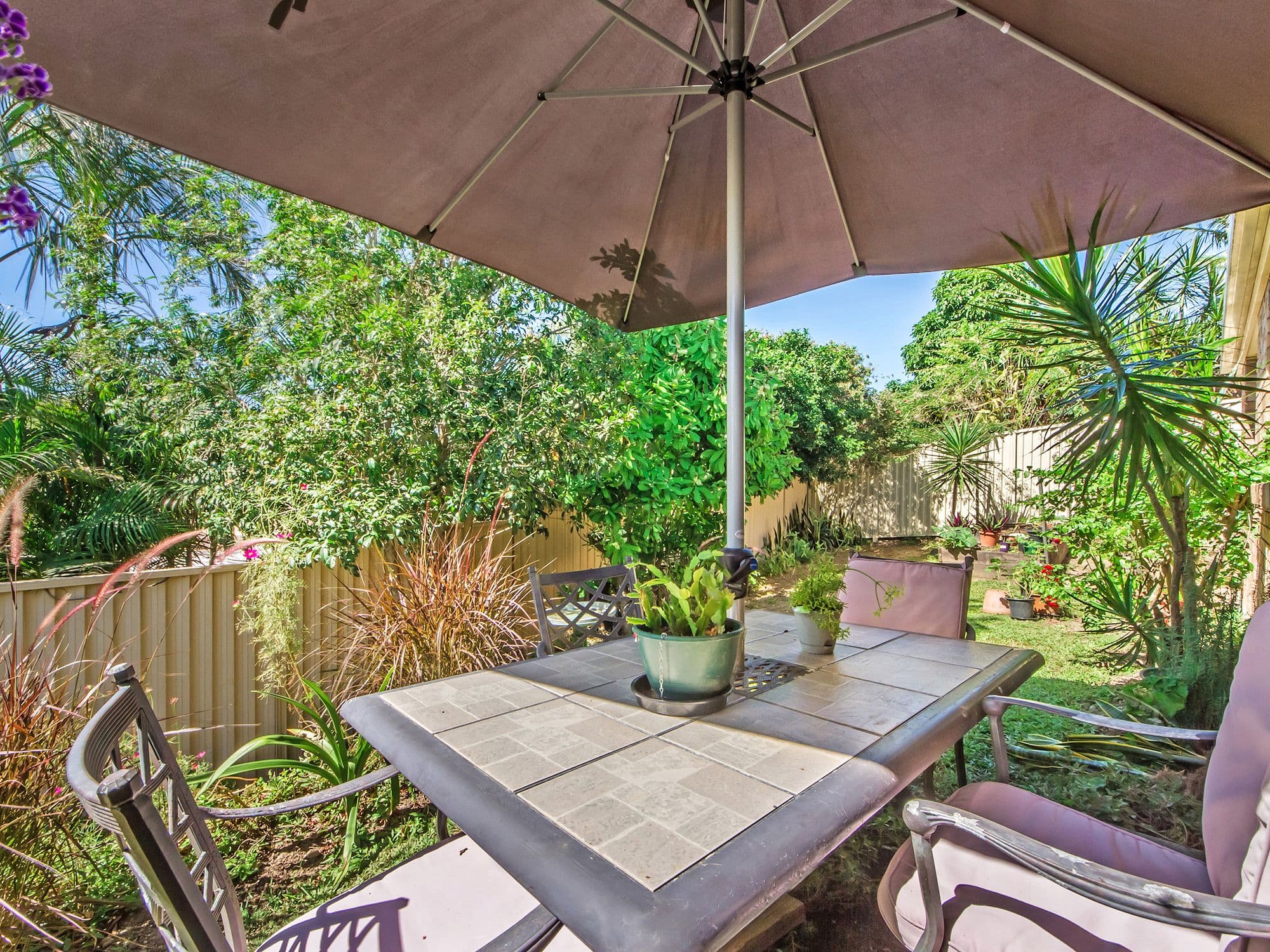17 Pineview Drive, Oxenford QLD 4210, Oxenford - Thumbnail 6