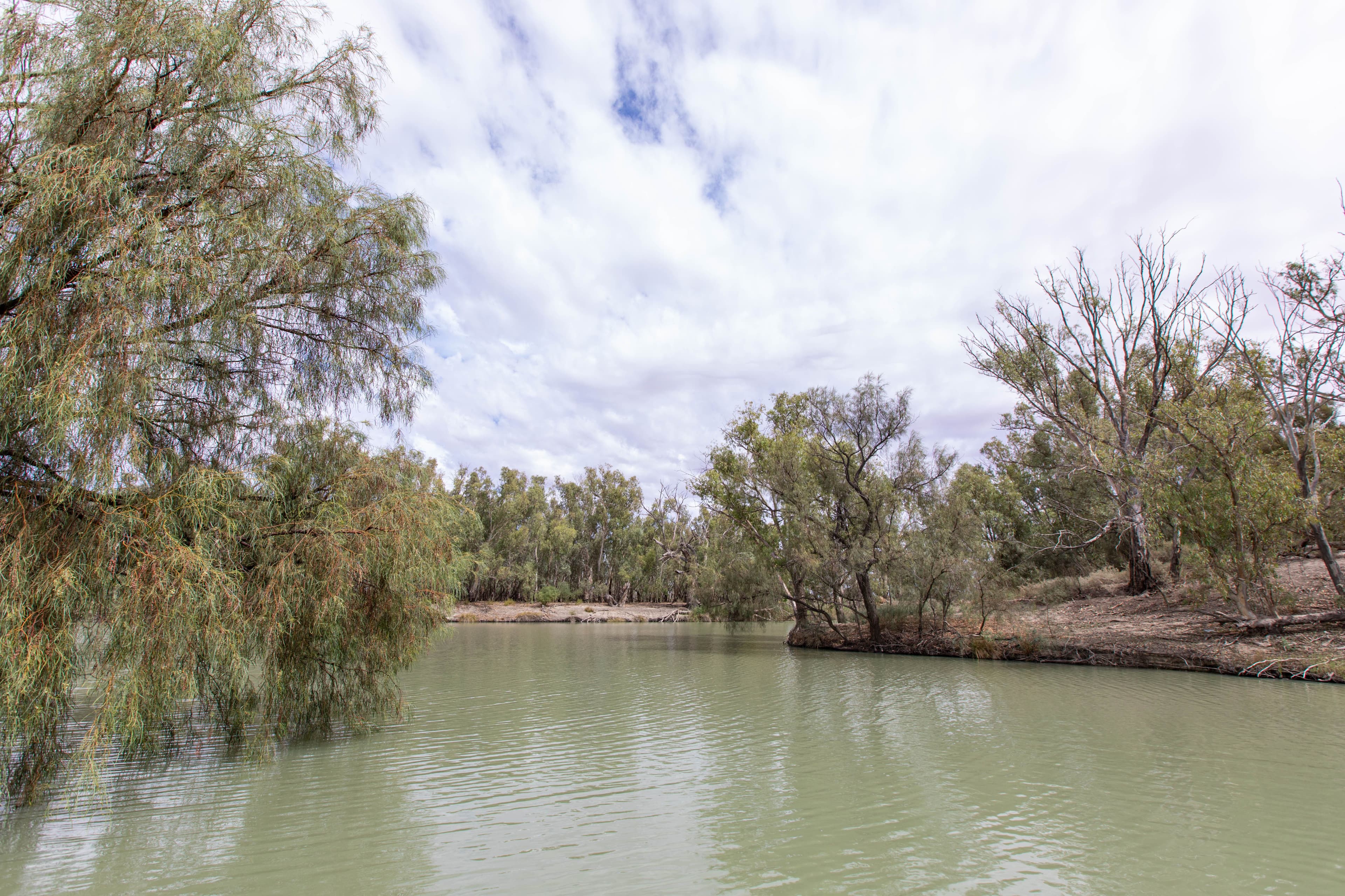 1517A Pooncarie Road, Wentworth NSW 2648, Wentworth - Thumbnail 6
