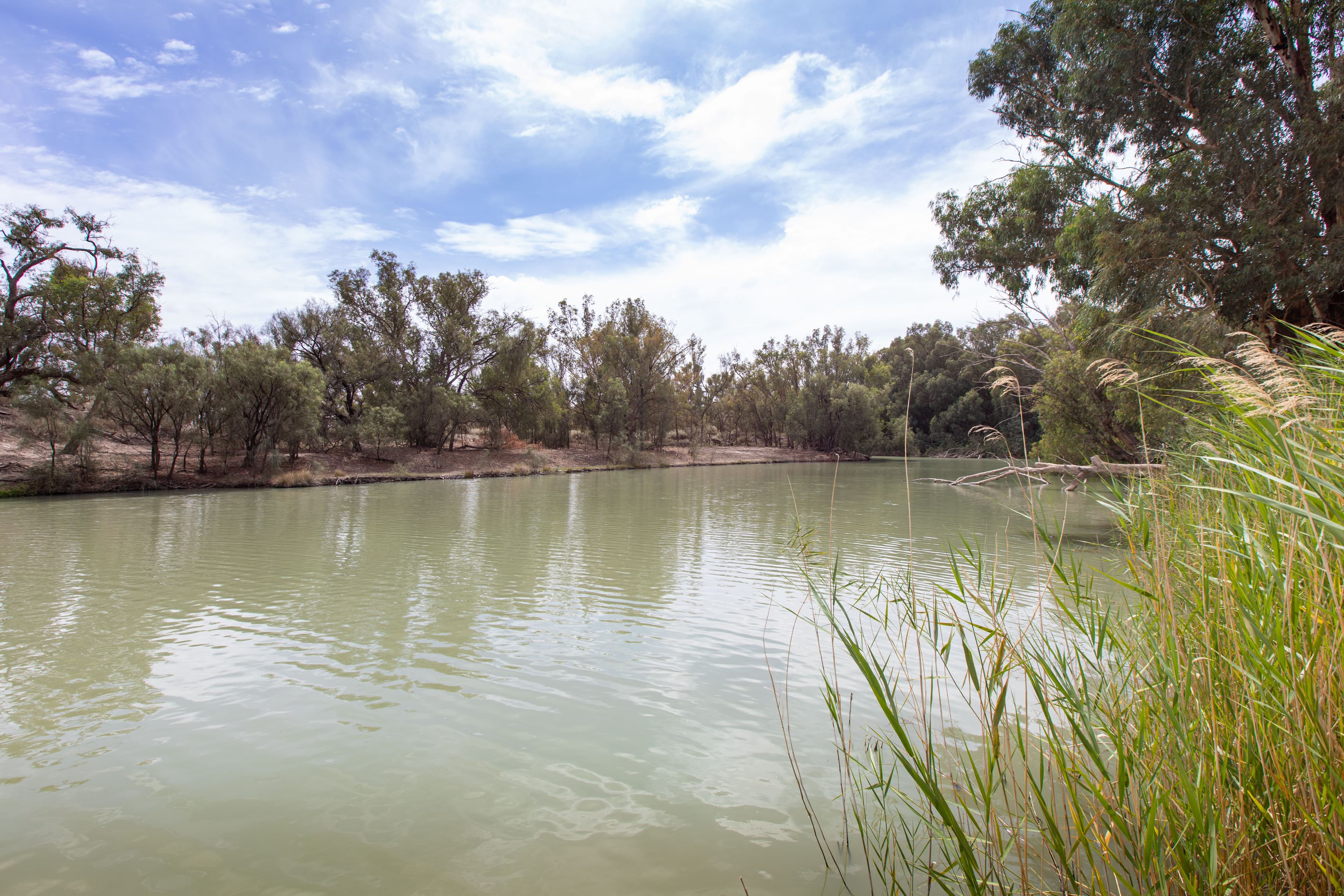 1517A Pooncarie Road, Wentworth NSW 2648, Wentworth - Thumbnail 8