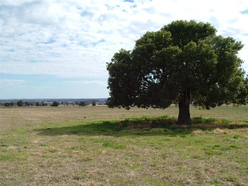 Lot 1011, 34L Pinedale Road, DUBBO NSW 2830, Dubbo - Thumbnail 2