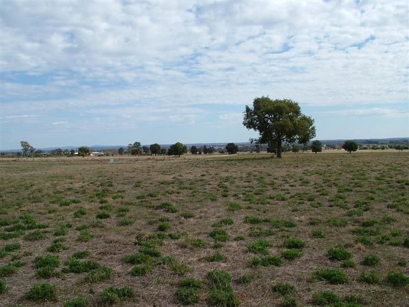 Lot 1011, 34L Pinedale Road, DUBBO NSW 2830, Dubbo - Thumbnail 4