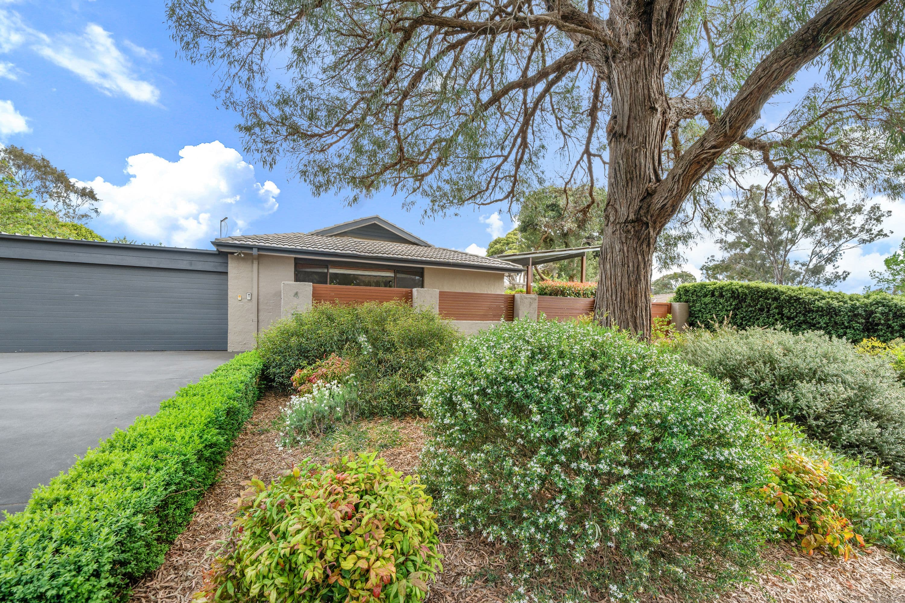 4 Dungowan Street, Hawker ACT 2614, Hawker - Thumbnail 4