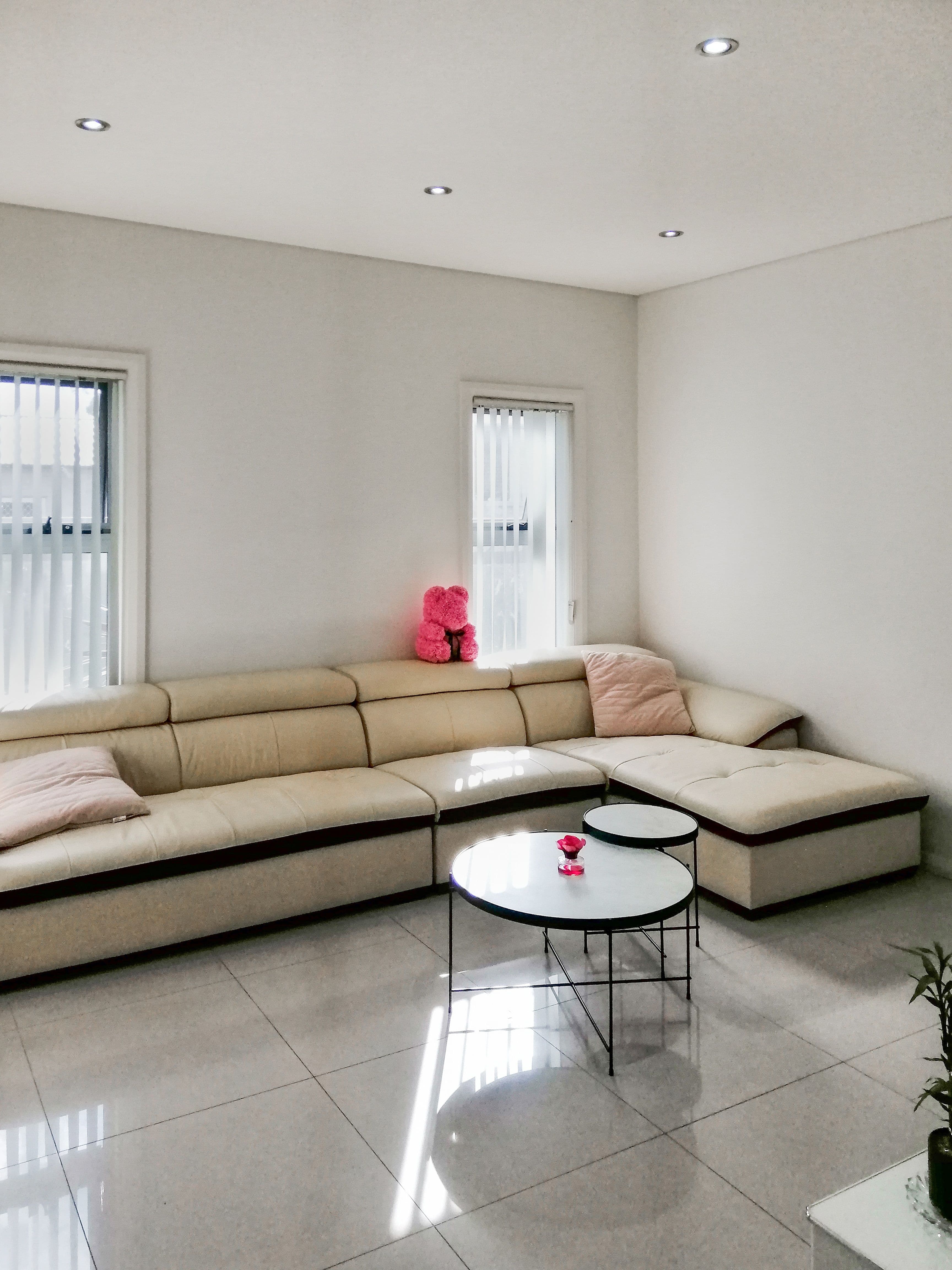 20 Grove Avenue, Narwee - Thumbnail 3
