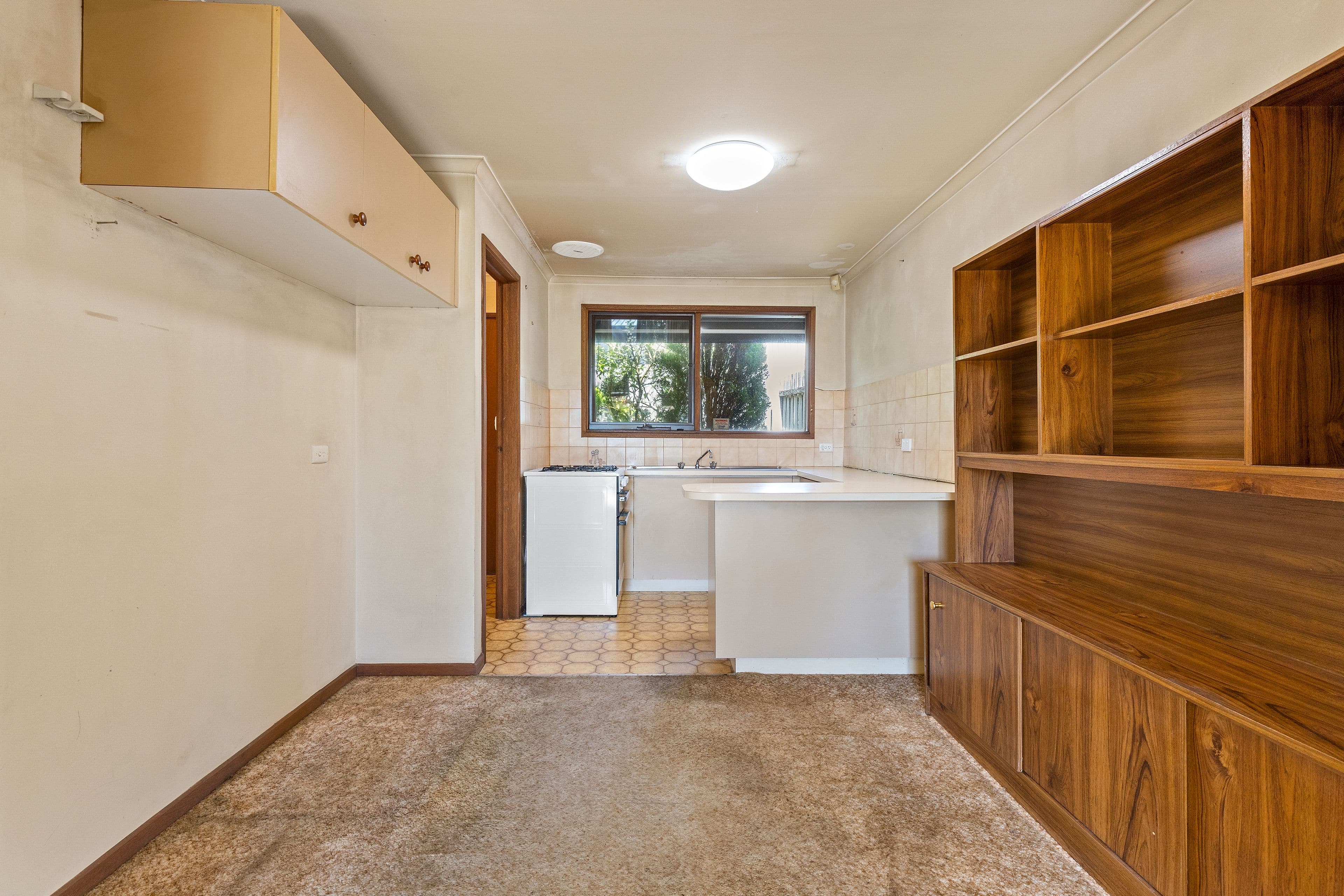 14 Barkly Street, Ringwood VIC 3134, Ringwood - Thumbnail 3