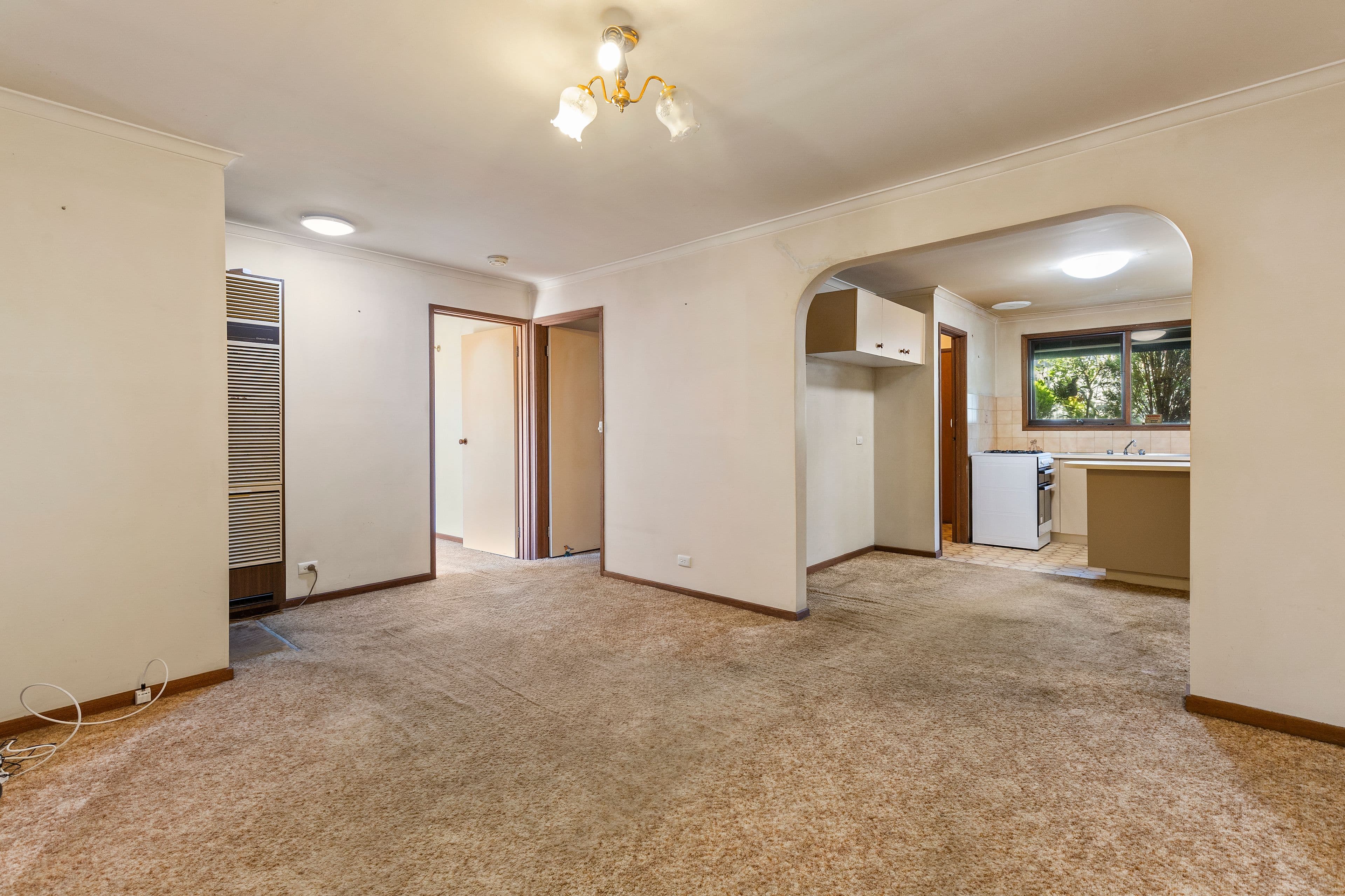 14 Barkly Street, Ringwood VIC 3134, Ringwood - Thumbnail 5