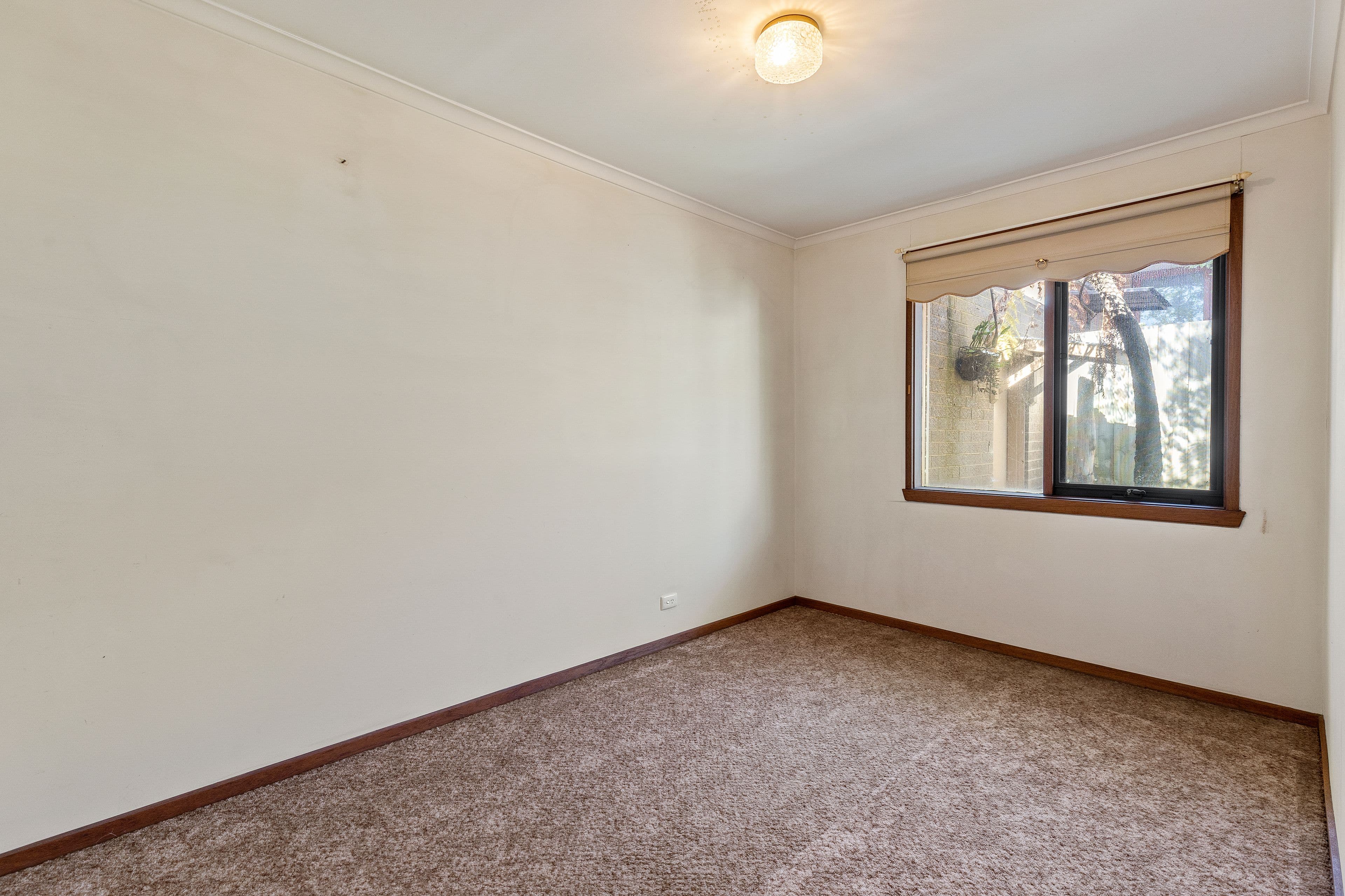 14 Barkly Street, Ringwood VIC 3134, Ringwood - Thumbnail 8
