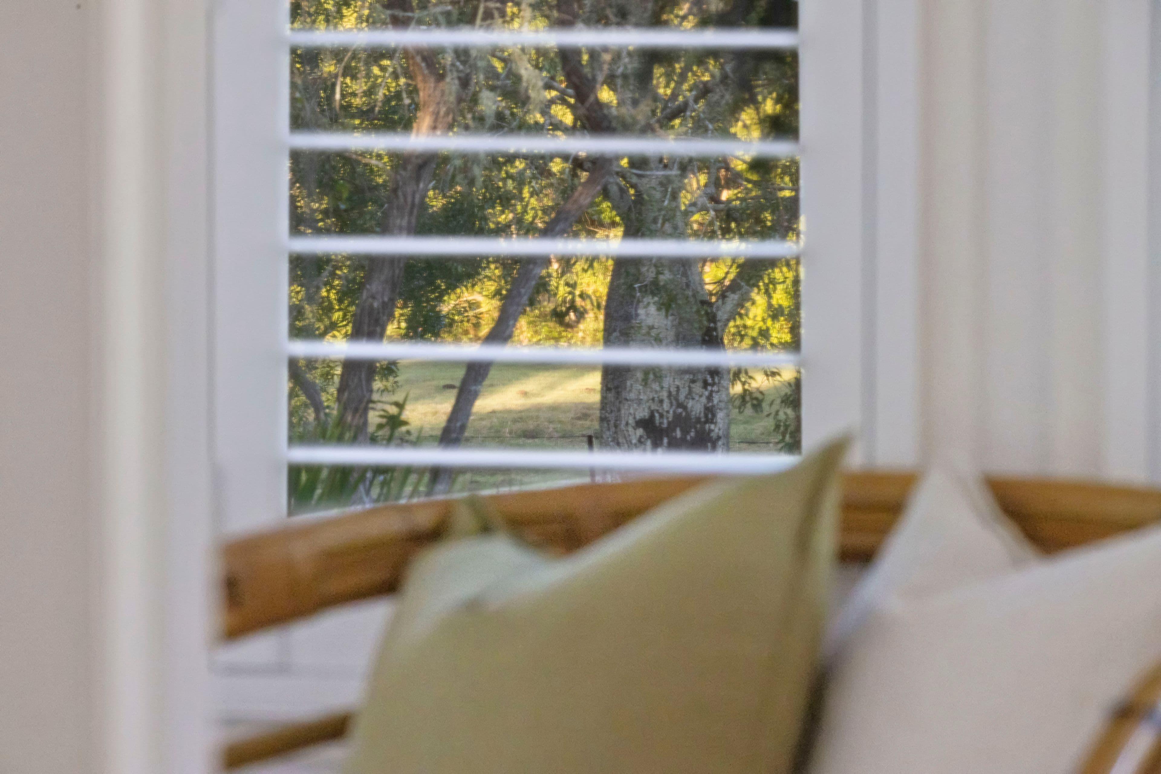 9 Mary Street, Kenilworth QLD 4574, Kenilworth - Thumbnail 4