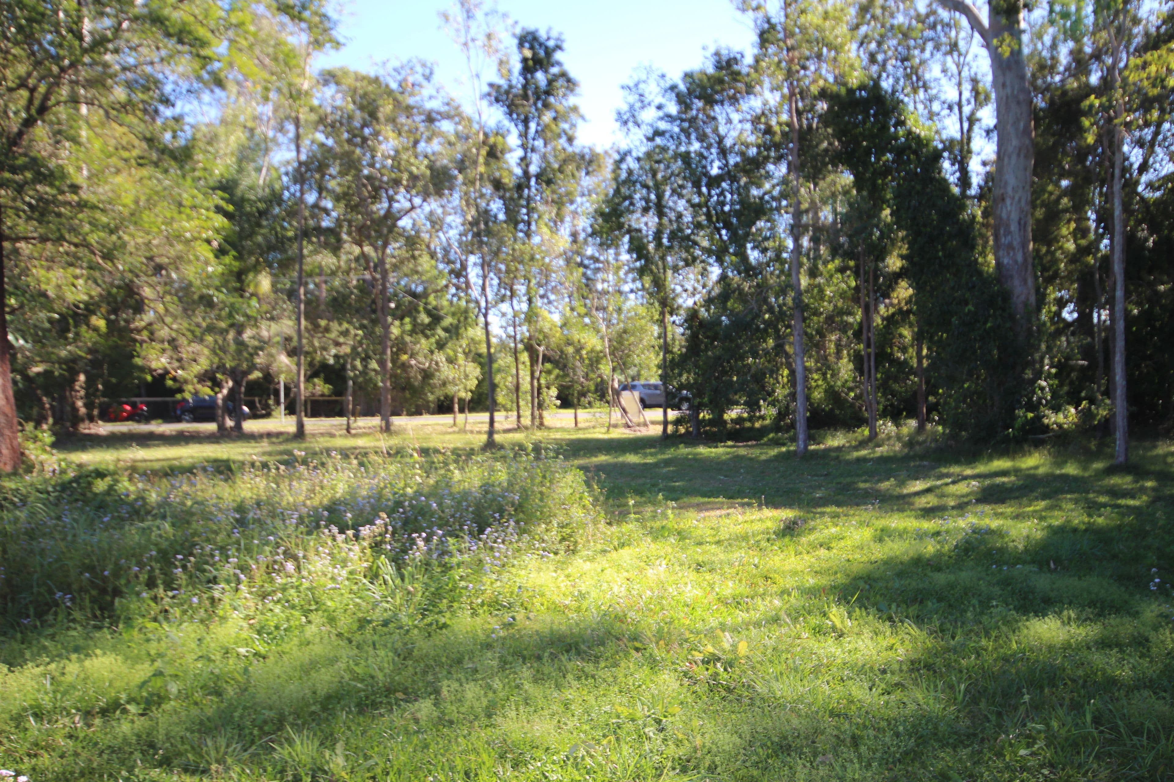 Lots 39-41 Dyer Street, LANDSBOROUGH QLD 4550, Landsborough - Thumbnail 3