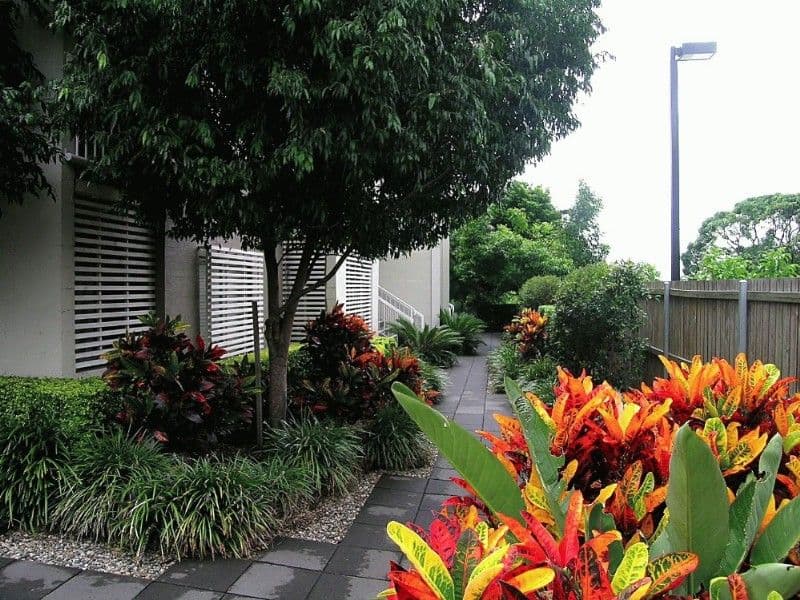 550 Brunswick Street, NEW FARM QLD 4005, New Farm - Thumbnail 2