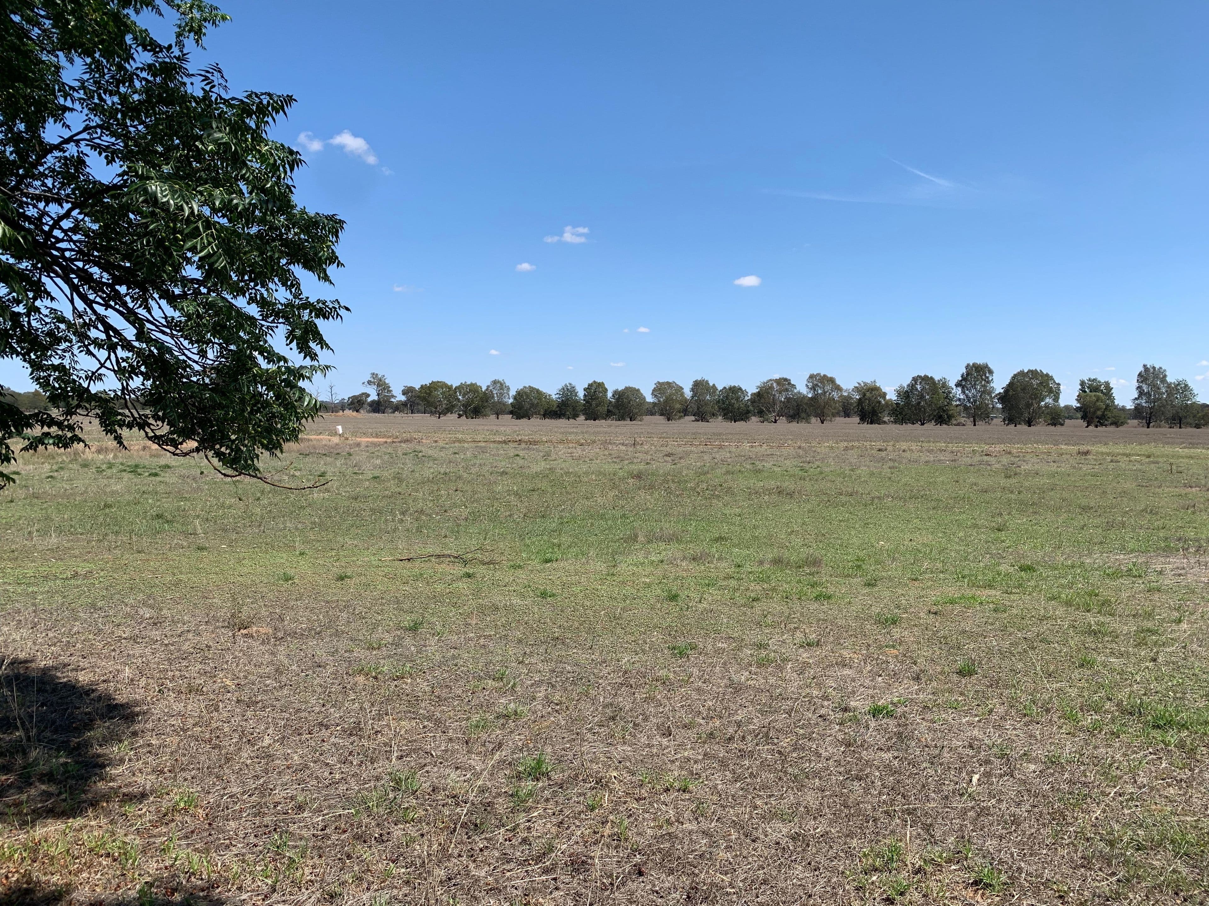 49 Market Street, Walla Walla NSW 2659, Walla Walla - Thumbnail 5