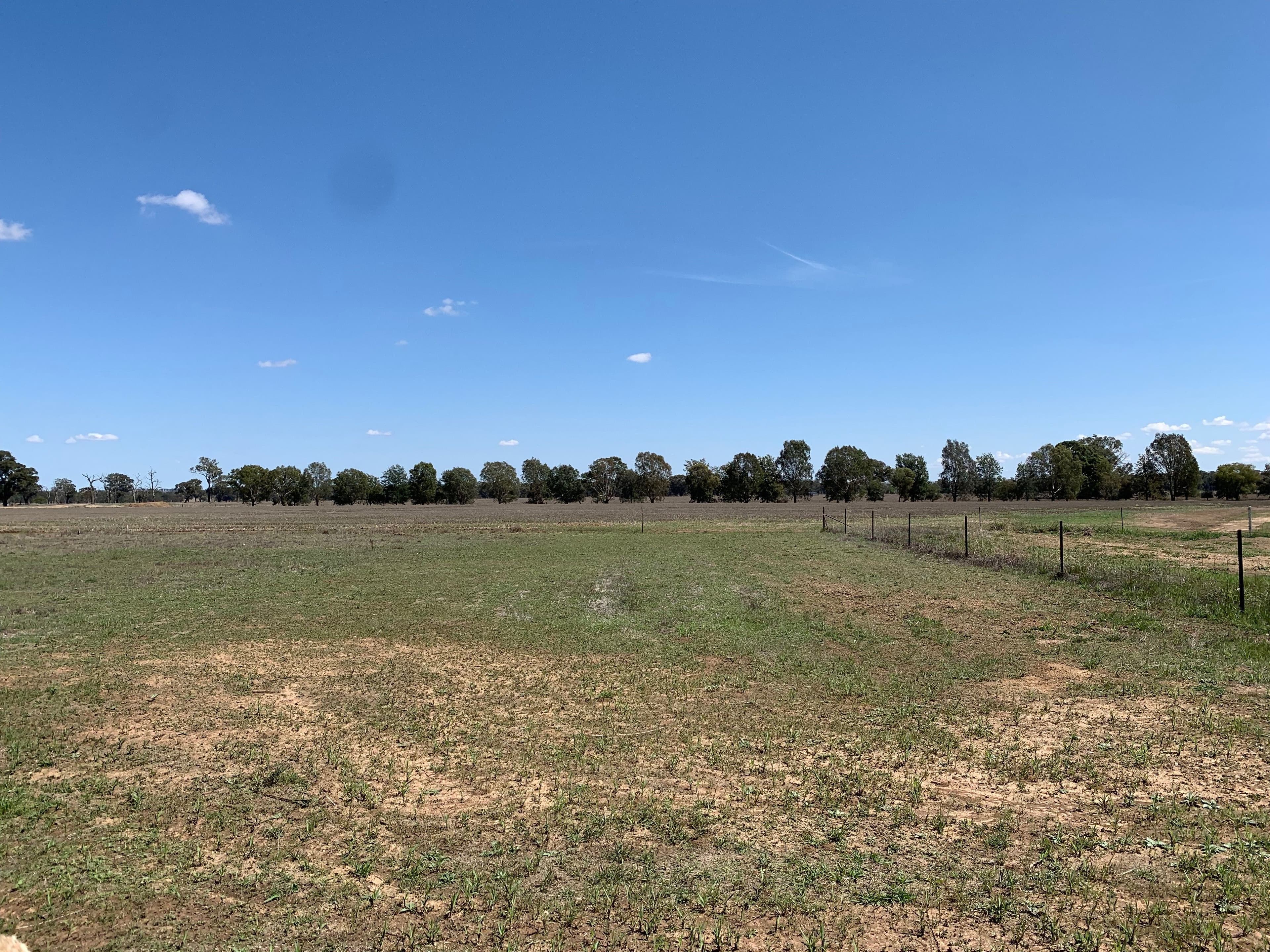 49 Market Street, Walla Walla NSW 2659, Walla Walla - Thumbnail 7