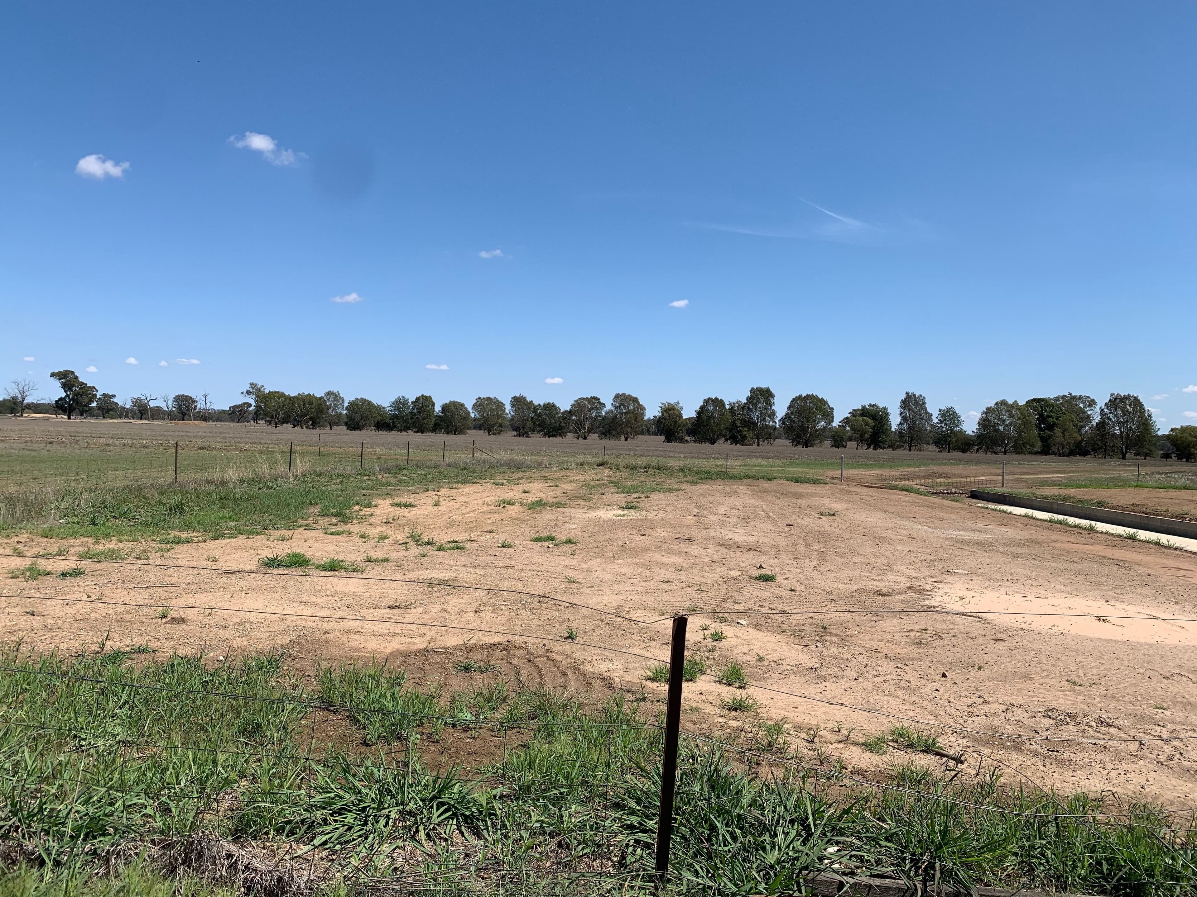 49 Market Street, Walla Walla NSW 2659, Walla Walla - Thumbnail 8