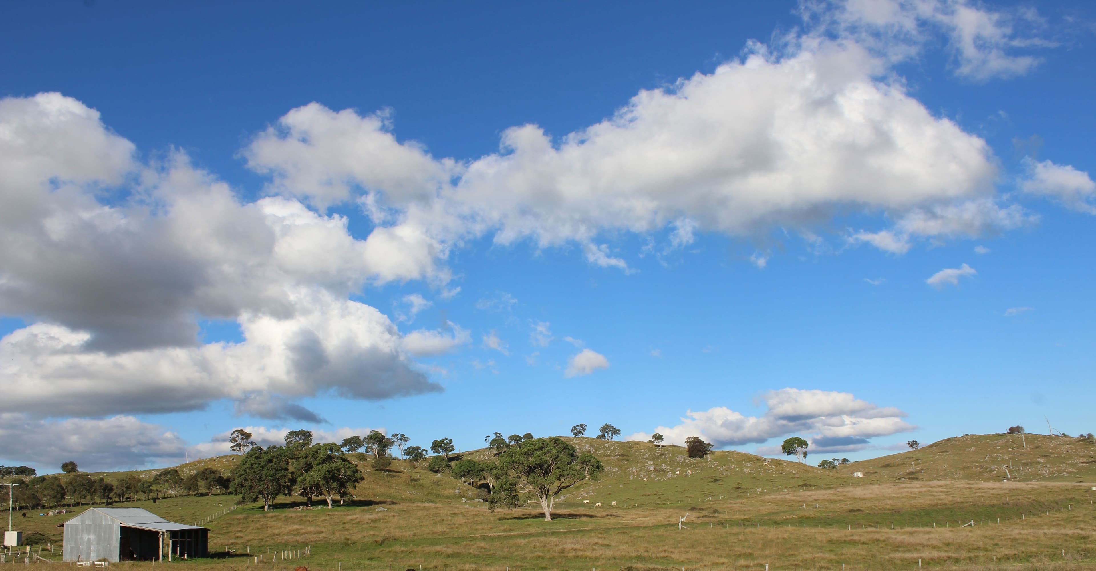 Lot 1 Bryans Gap Road, Tenterfield NSW 2372, Tenterfield - Image 1