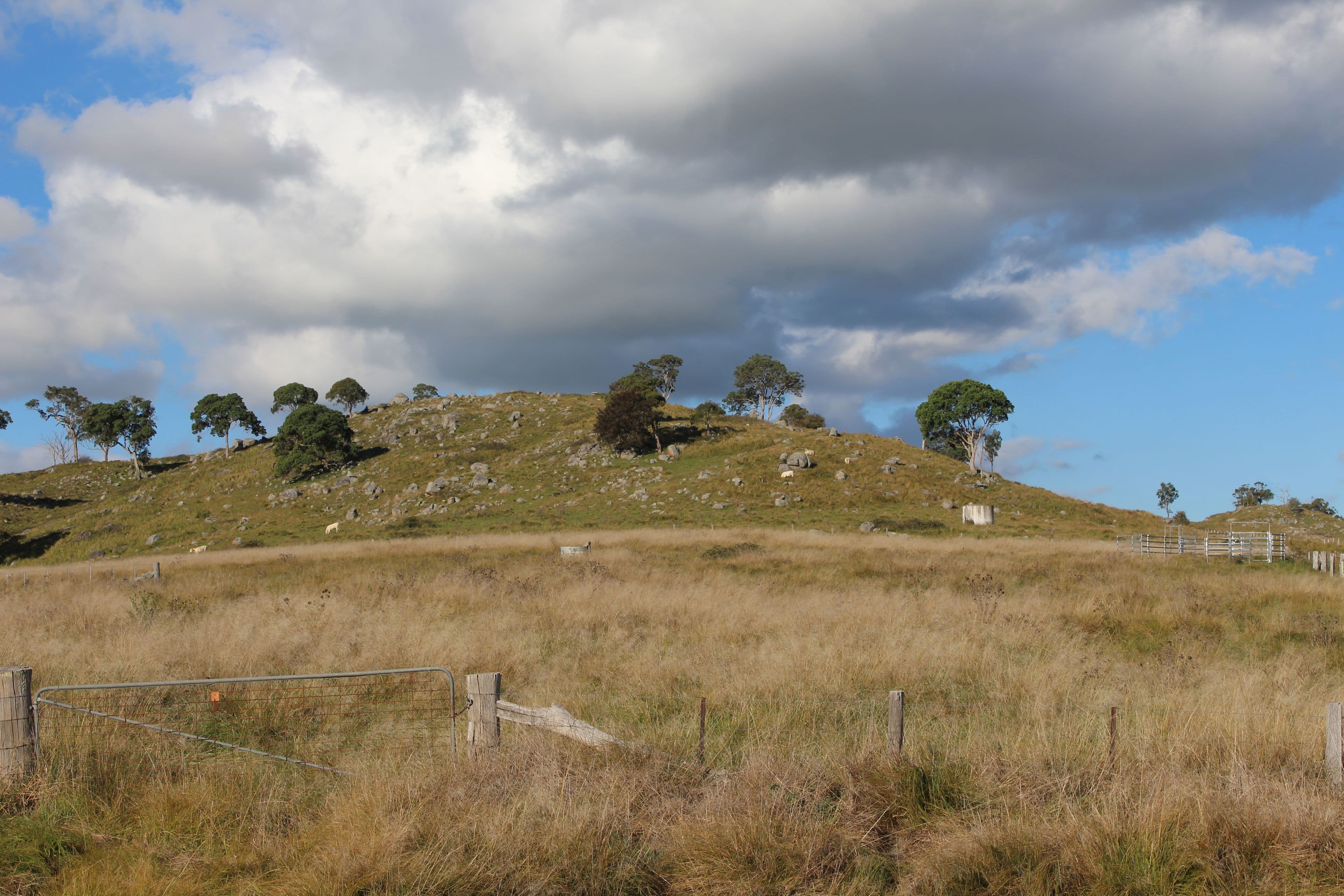 Lot 1 Bryans Gap Road, Tenterfield NSW 2372, Tenterfield - Thumbnail 3