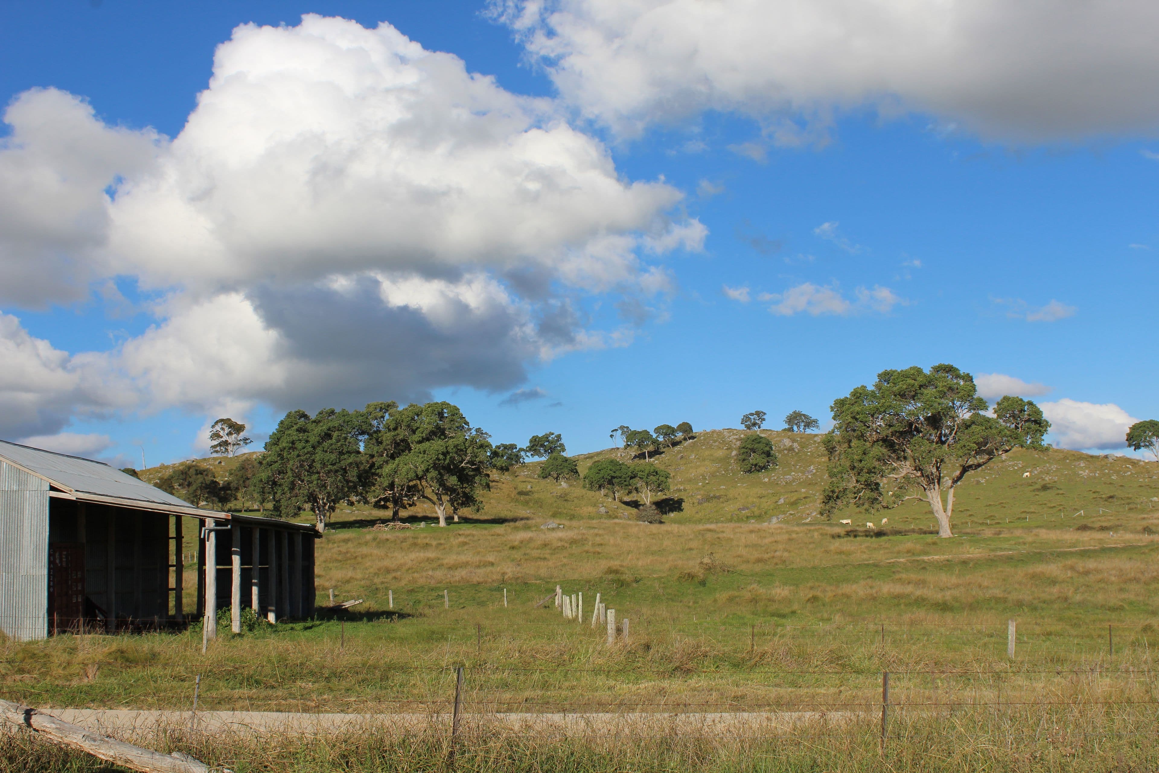 Lot 1 Bryans Gap Road, Tenterfield NSW 2372, Tenterfield - Thumbnail 5