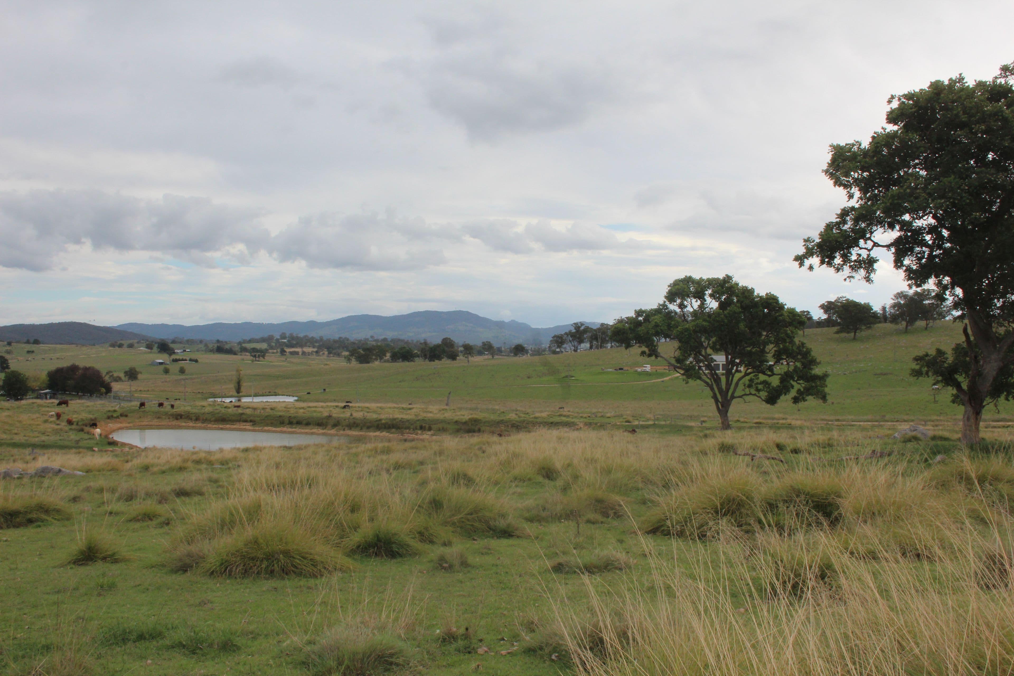 Lot 1 Bryans Gap Road, Tenterfield NSW 2372, Tenterfield - Thumbnail 6