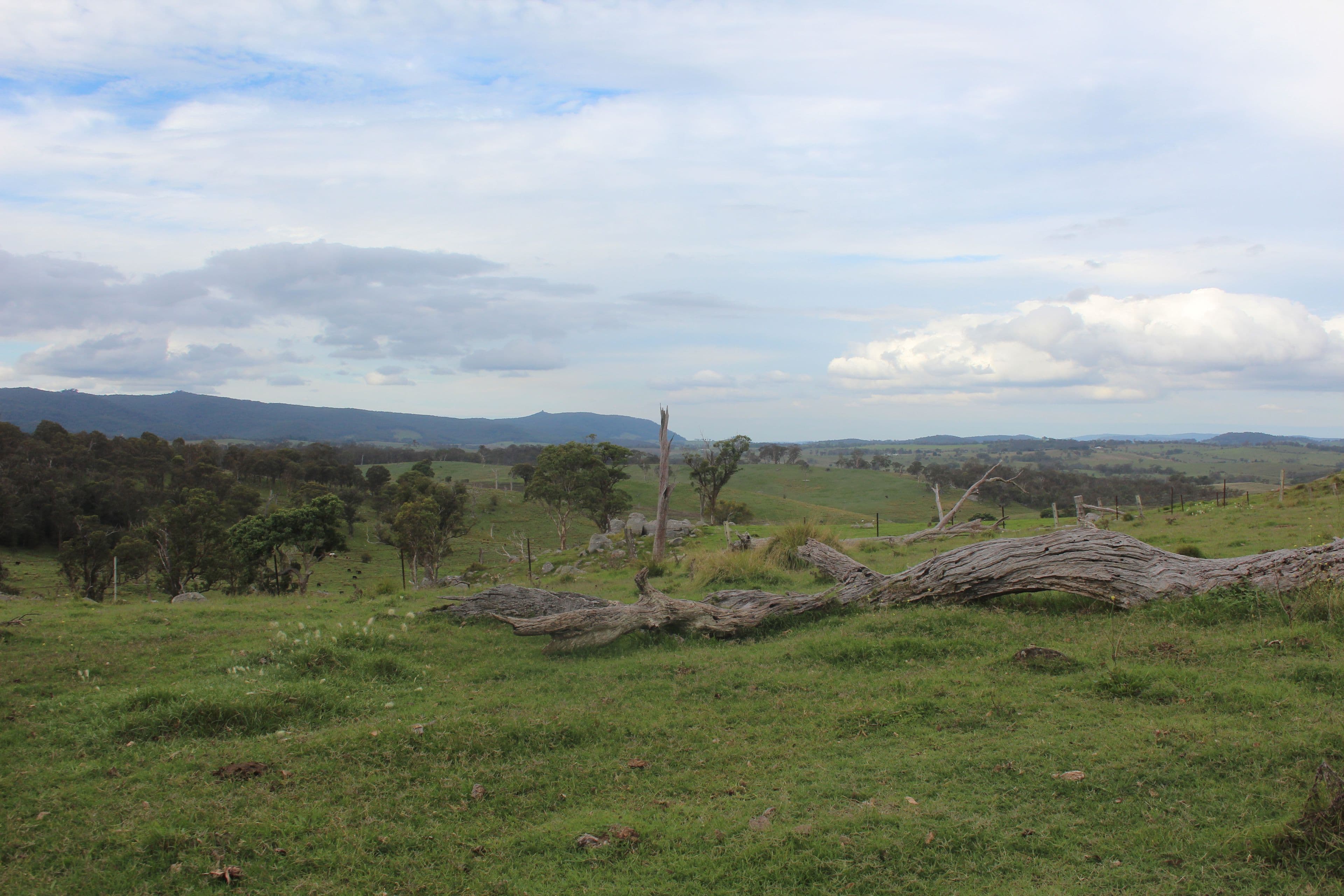 Lot 1 Bryans Gap Road, Tenterfield NSW 2372, Tenterfield - Thumbnail 7