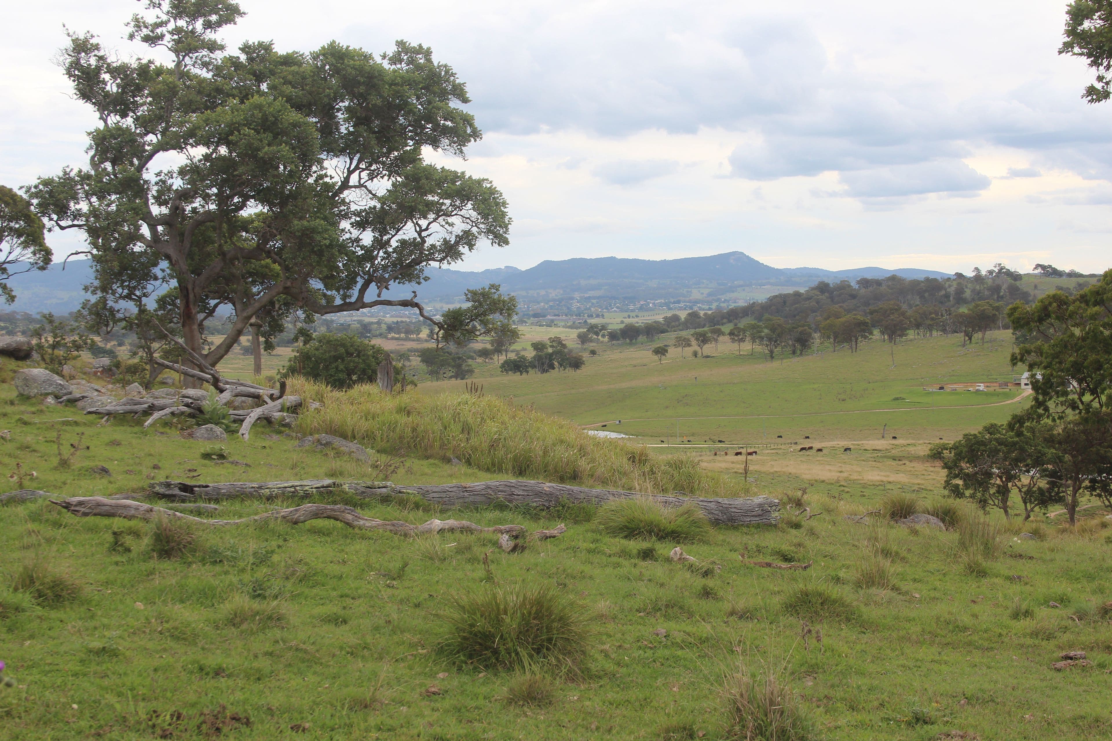 Lot 1 Bryans Gap Road, Tenterfield NSW 2372, Tenterfield - Thumbnail 8