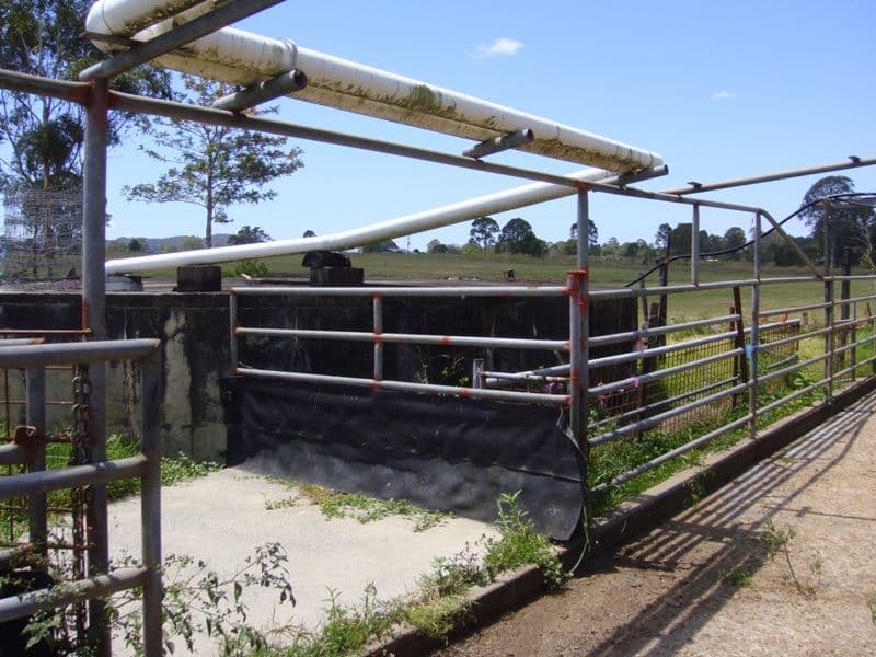 29 Jackson Lane, YATALA QLD 4207, Yatala - Thumbnail 5