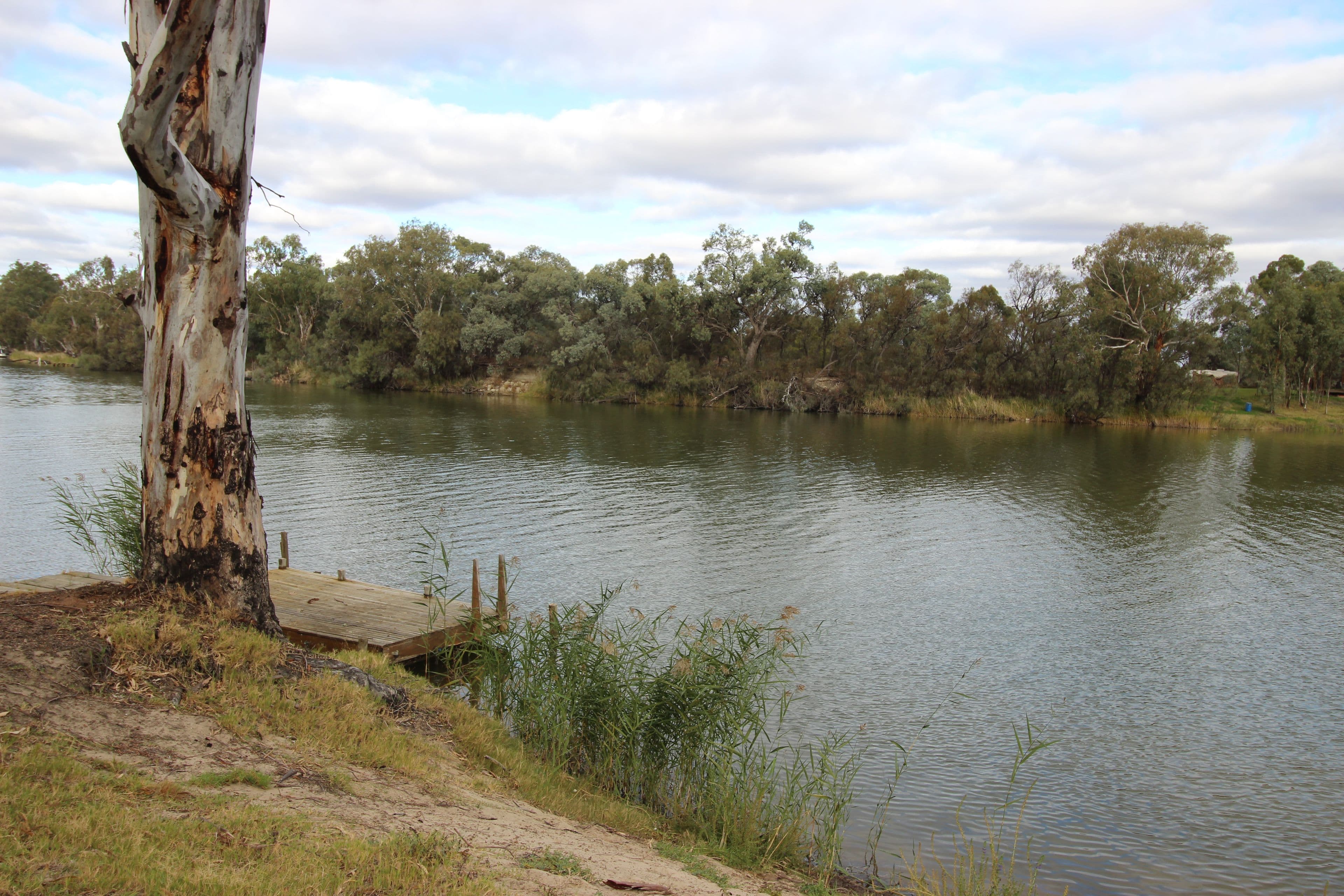59 Peel Street, TAMWORTH NSW 2340, North Tamworth - Image 1