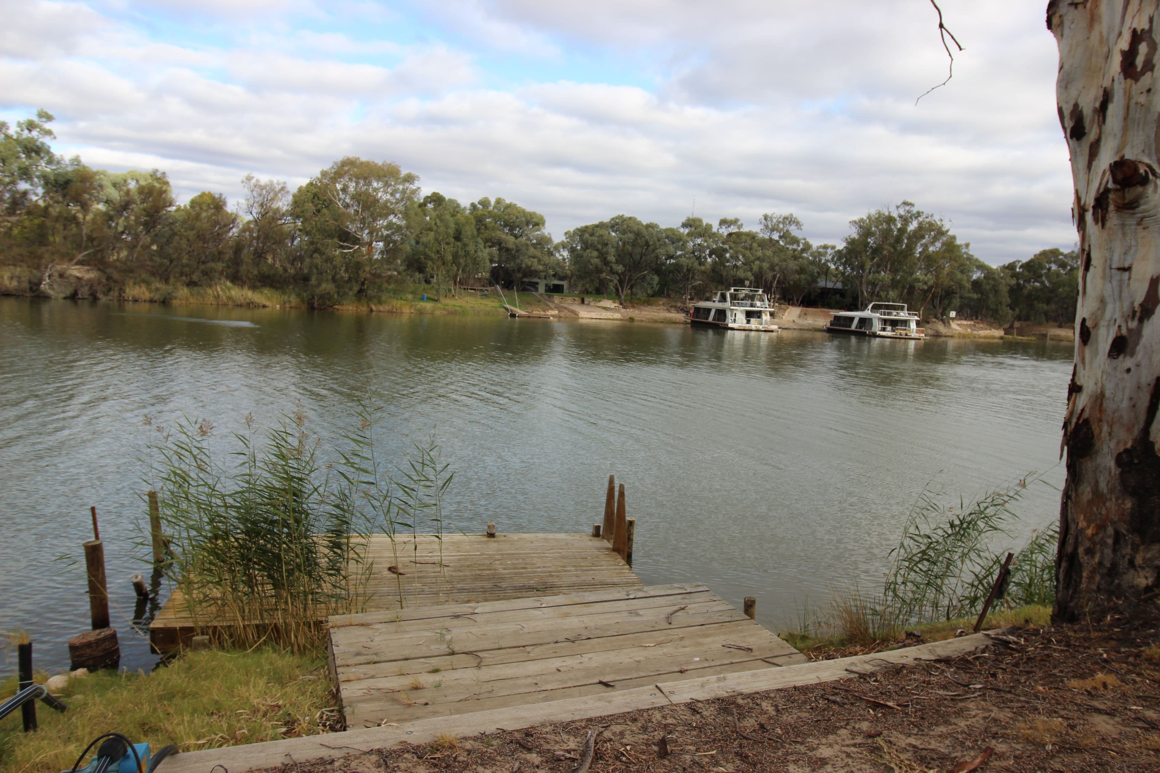 59 Peel Street, TAMWORTH NSW 2340, North Tamworth - Thumbnail 5