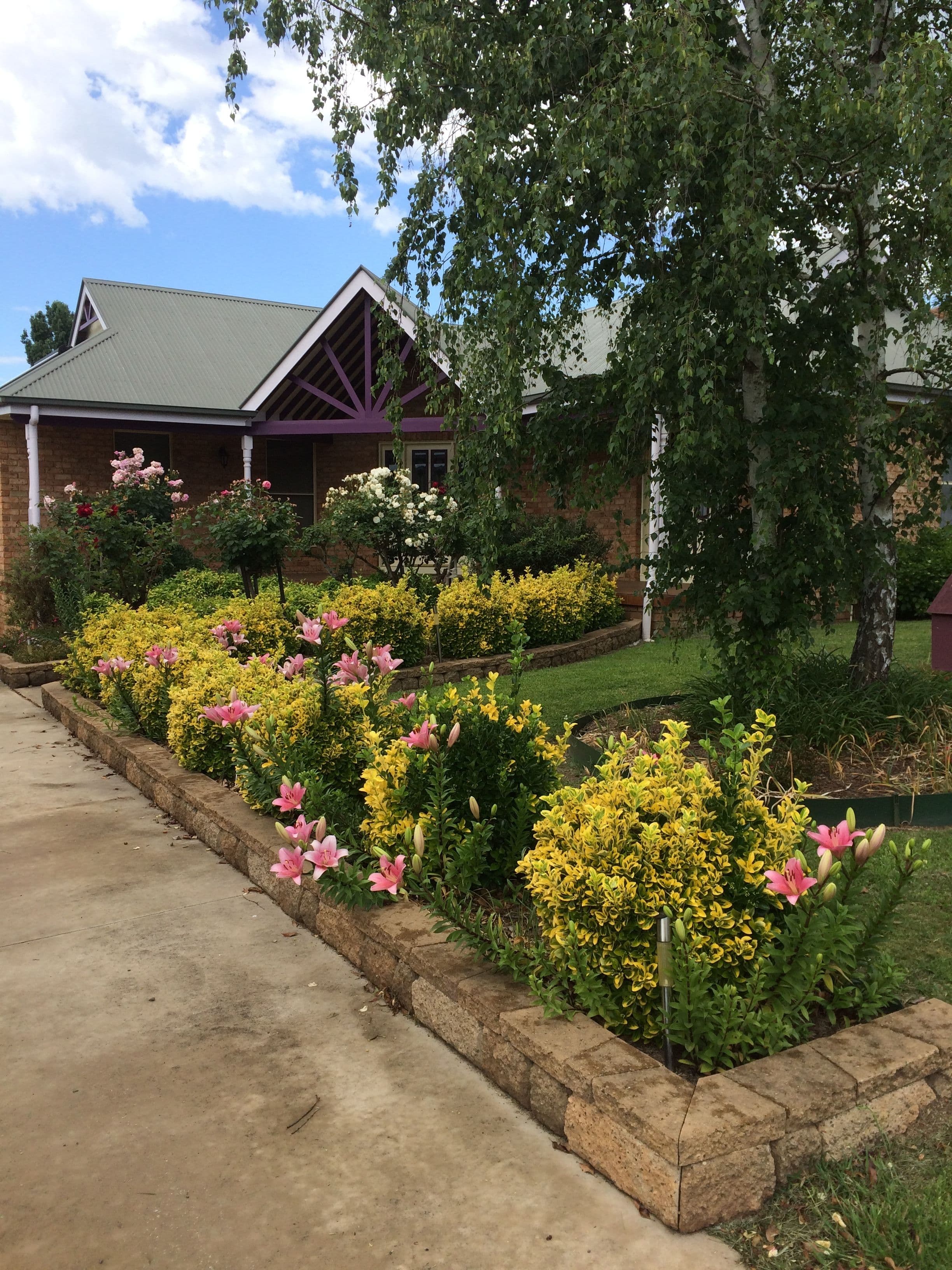 38 Heron Street, Glen Innes - Image 1
