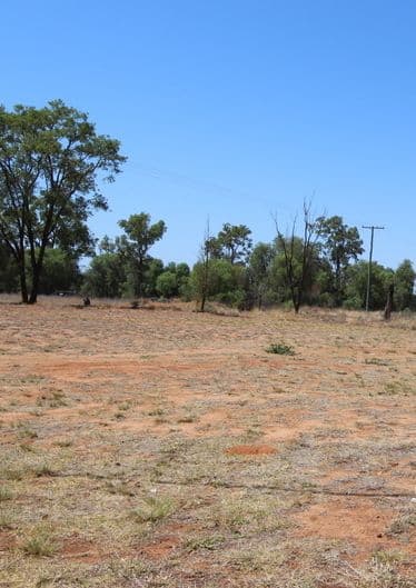 Lot 13 Cypress Street, Charleville QLD 4470, Charleville - Image 1