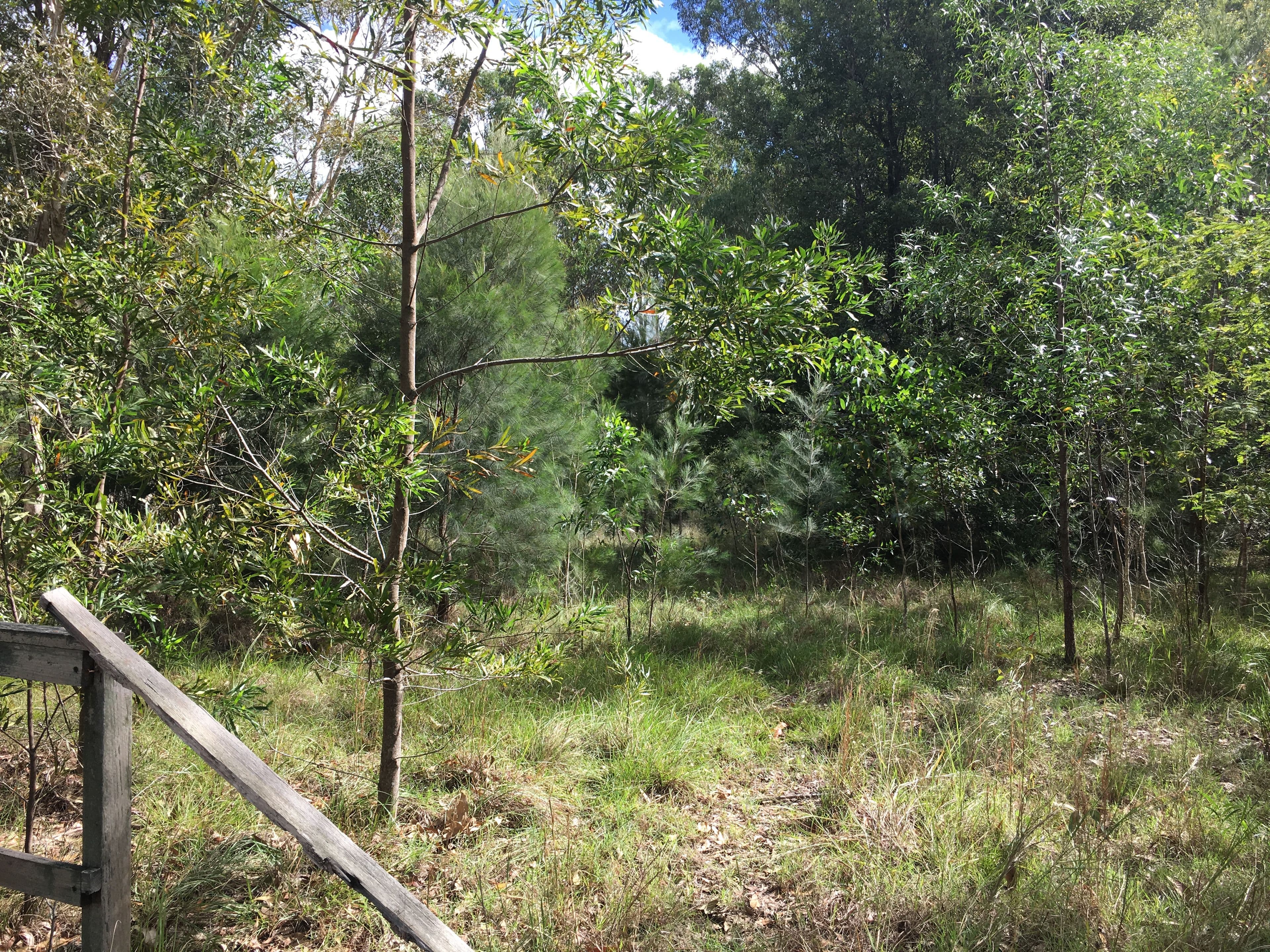 9 Illawarra Drive, Cooroibah QLD 4565, Cooroibah - Thumbnail 4