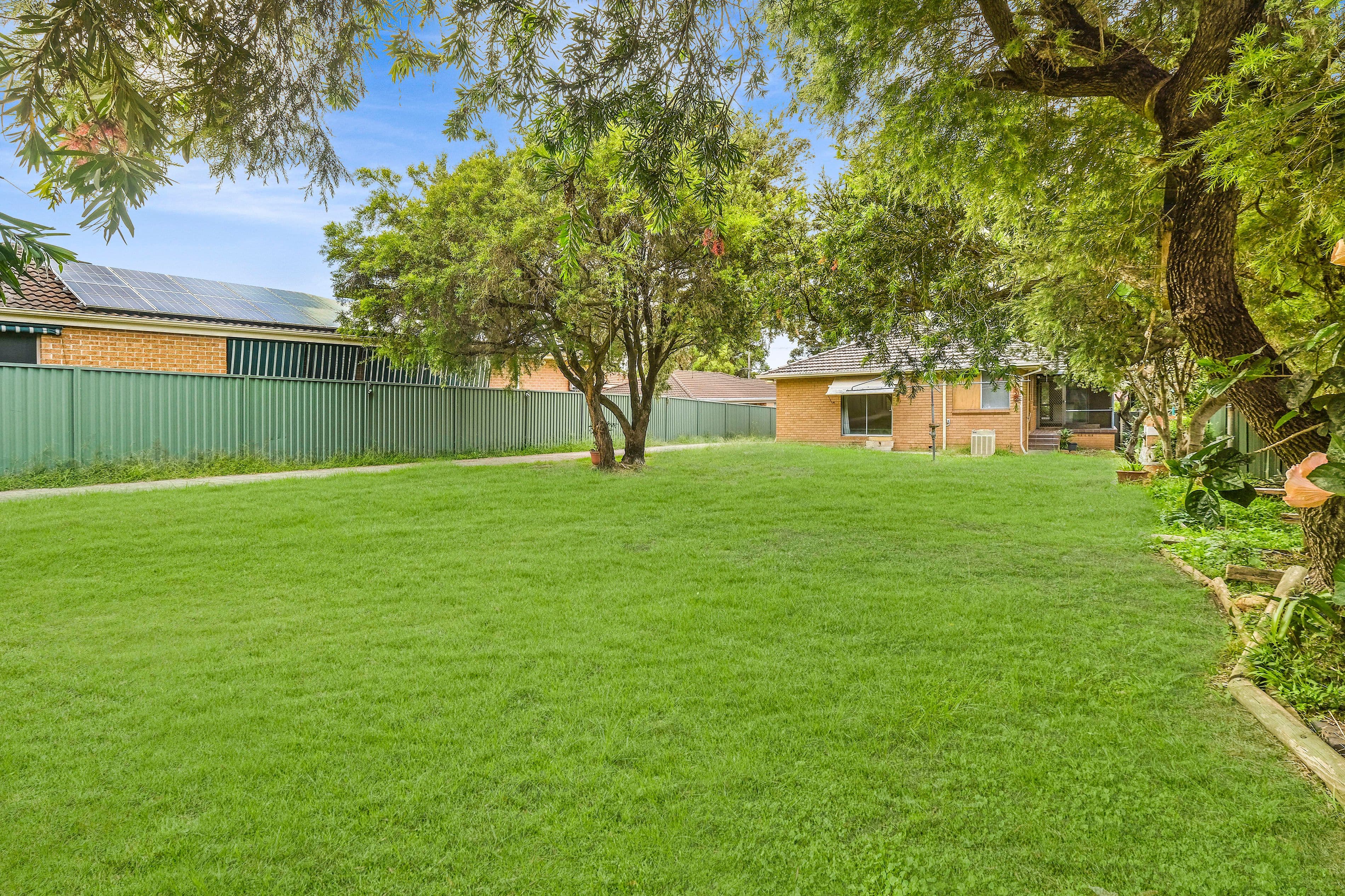 38 Cairns Street, Riverwood NSW 2210, Riverwood - Thumbnail 8