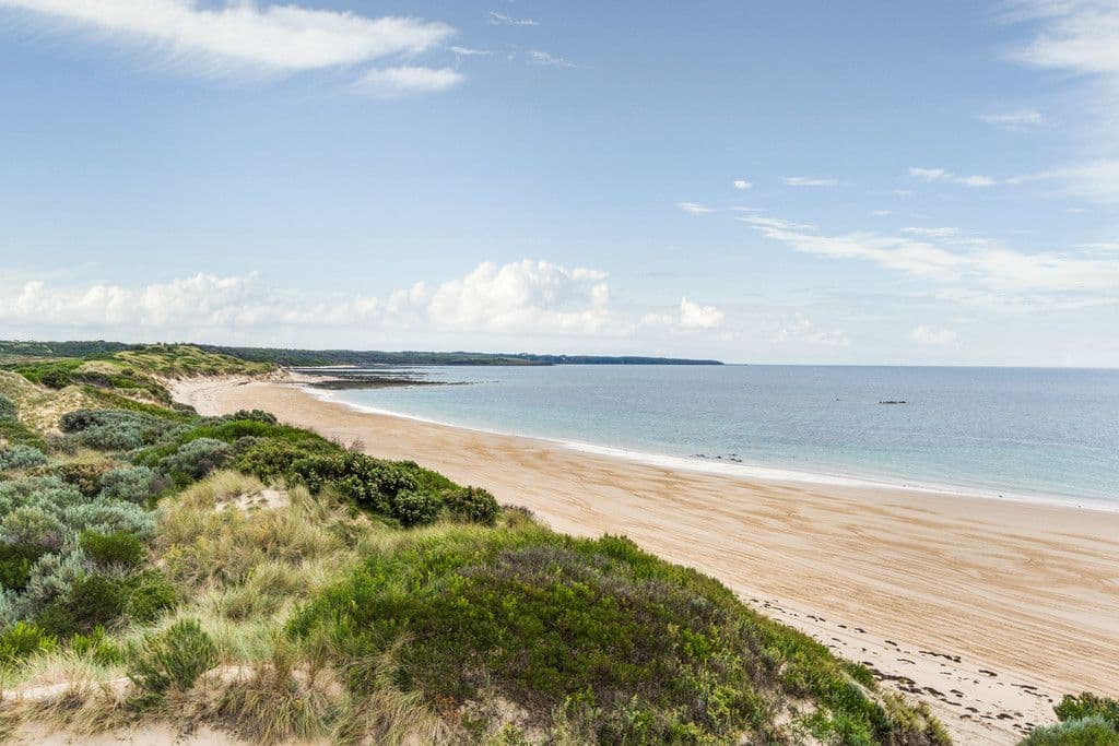 4 Davis Street, Beechford TAS 7252, Beechford - Thumbnail 2