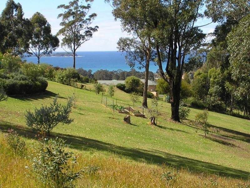 16 Highlands Avenue, SURF BEACH NSW 2536, Surf Beach - Thumbnail 2