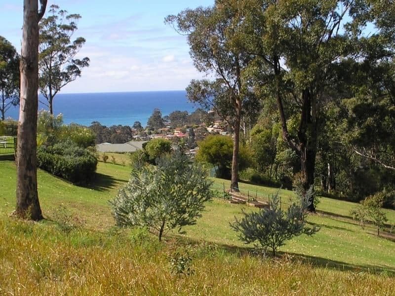 16 Highlands Avenue, SURF BEACH NSW 2536, Surf Beach - Thumbnail 4