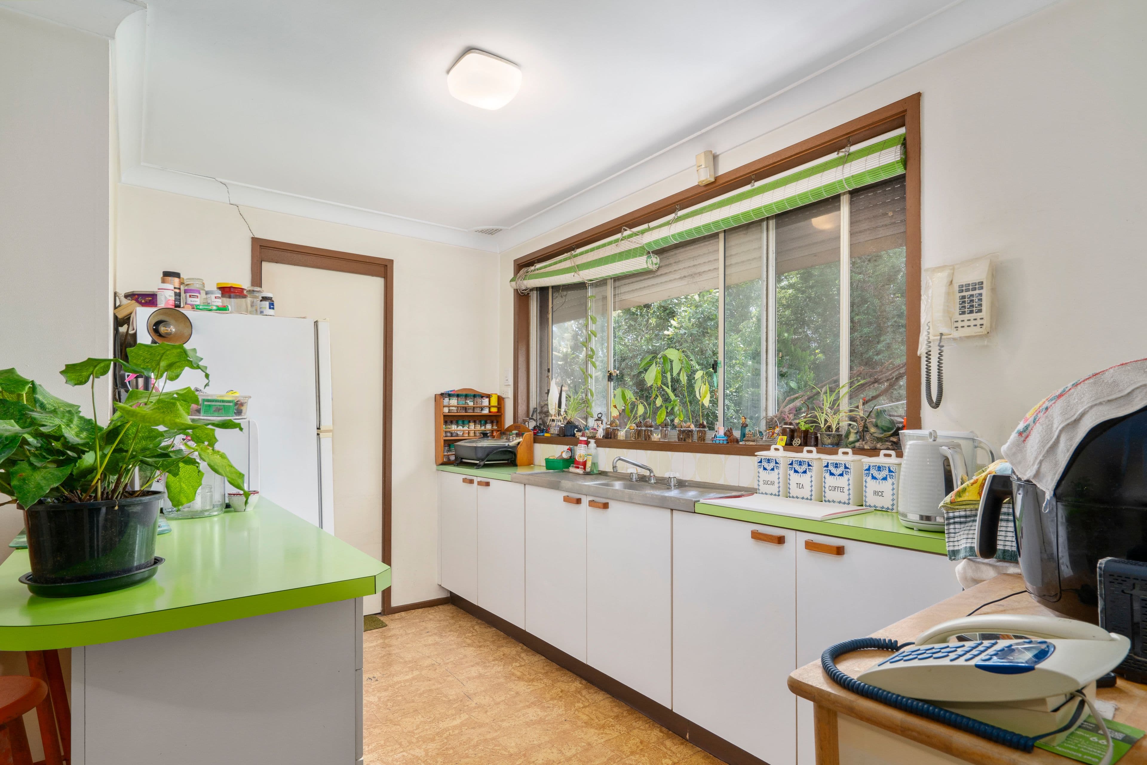 55 Bugatti Drive, Ingleburn NSW 2565, Ingleburn - Thumbnail 2