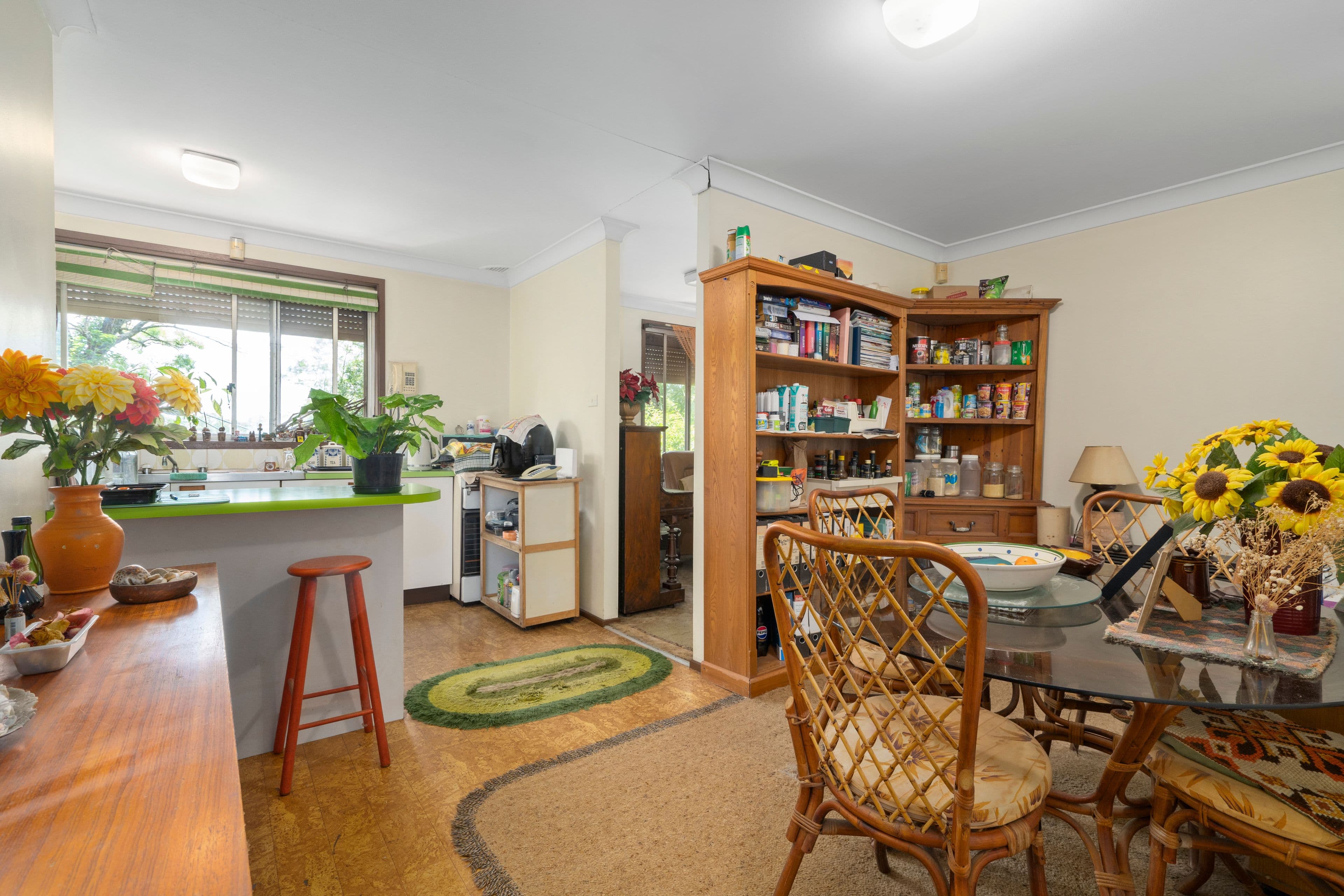 55 Bugatti Drive, Ingleburn NSW 2565, Ingleburn - Thumbnail 3