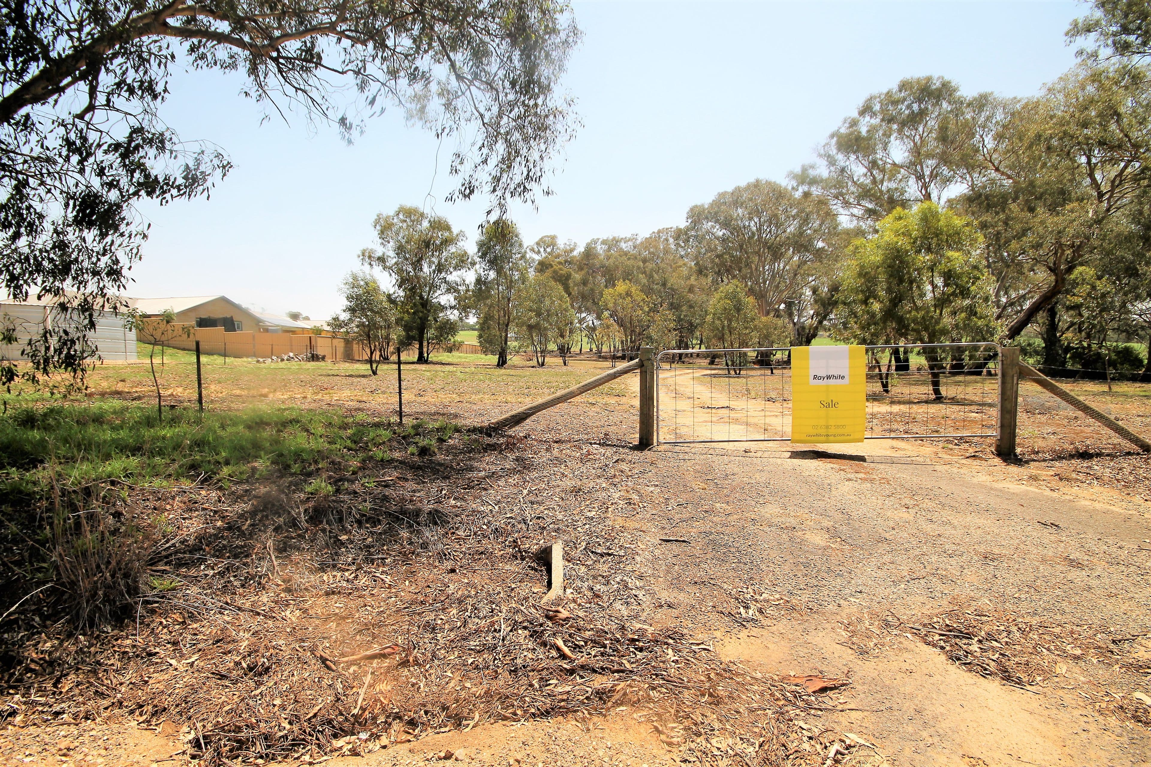 83 Thomsons Road, Young NSW 2594, Young - Image 1