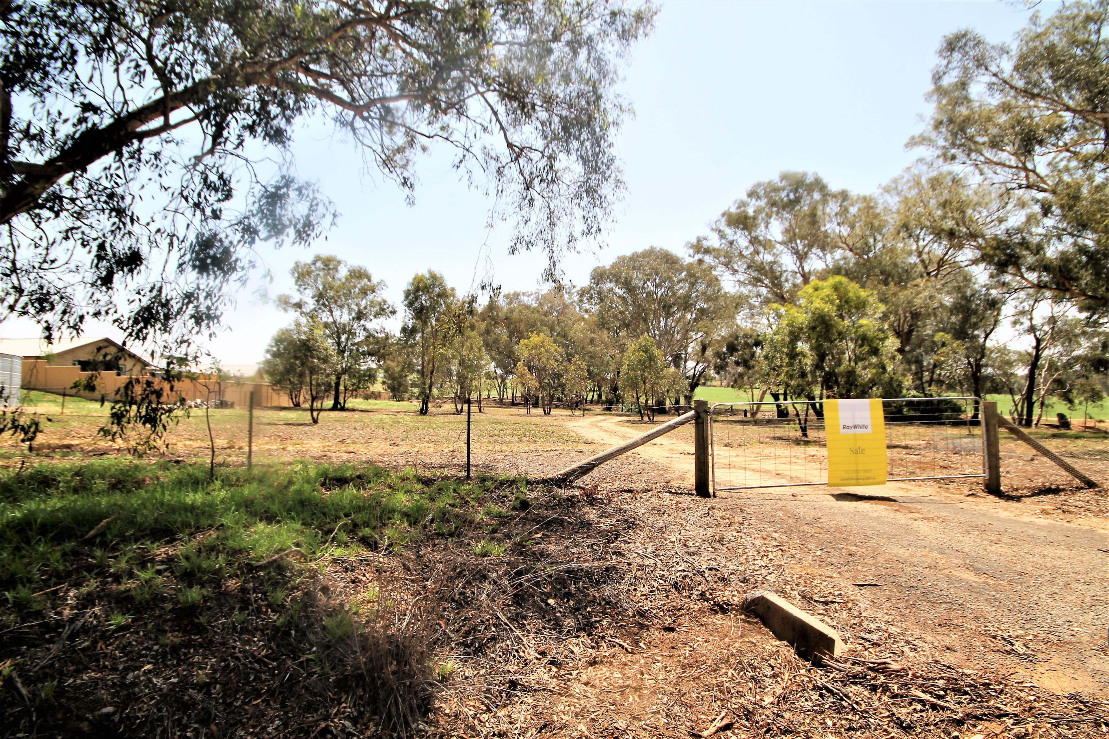 83 Thomsons Road, Young NSW 2594, Young - Thumbnail 2