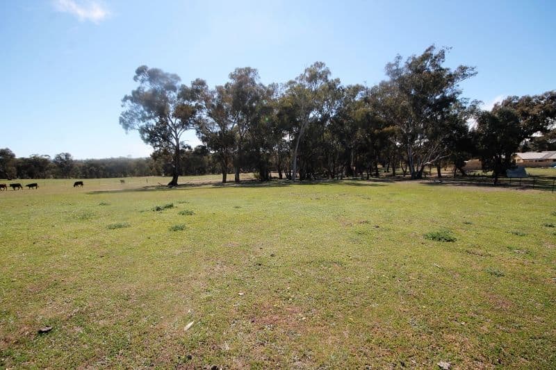 83 Thomsons Road, Young NSW 2594, Young - Thumbnail 4