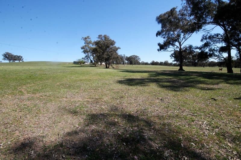 83 Thomsons Road, Young NSW 2594, Young - Thumbnail 5