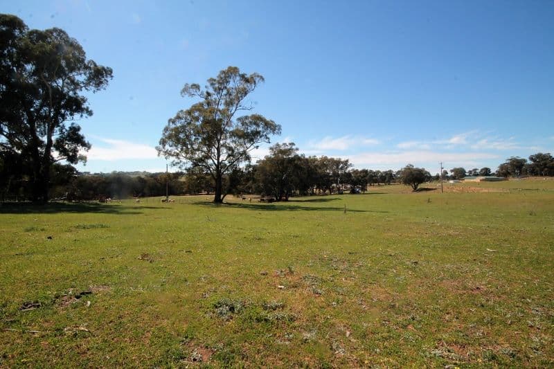 83 Thomsons Road, Young NSW 2594, Young - Thumbnail 6