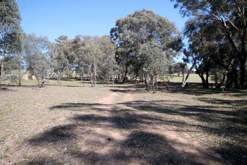 83 Thomsons Road, Young NSW 2594, Young - Thumbnail 7