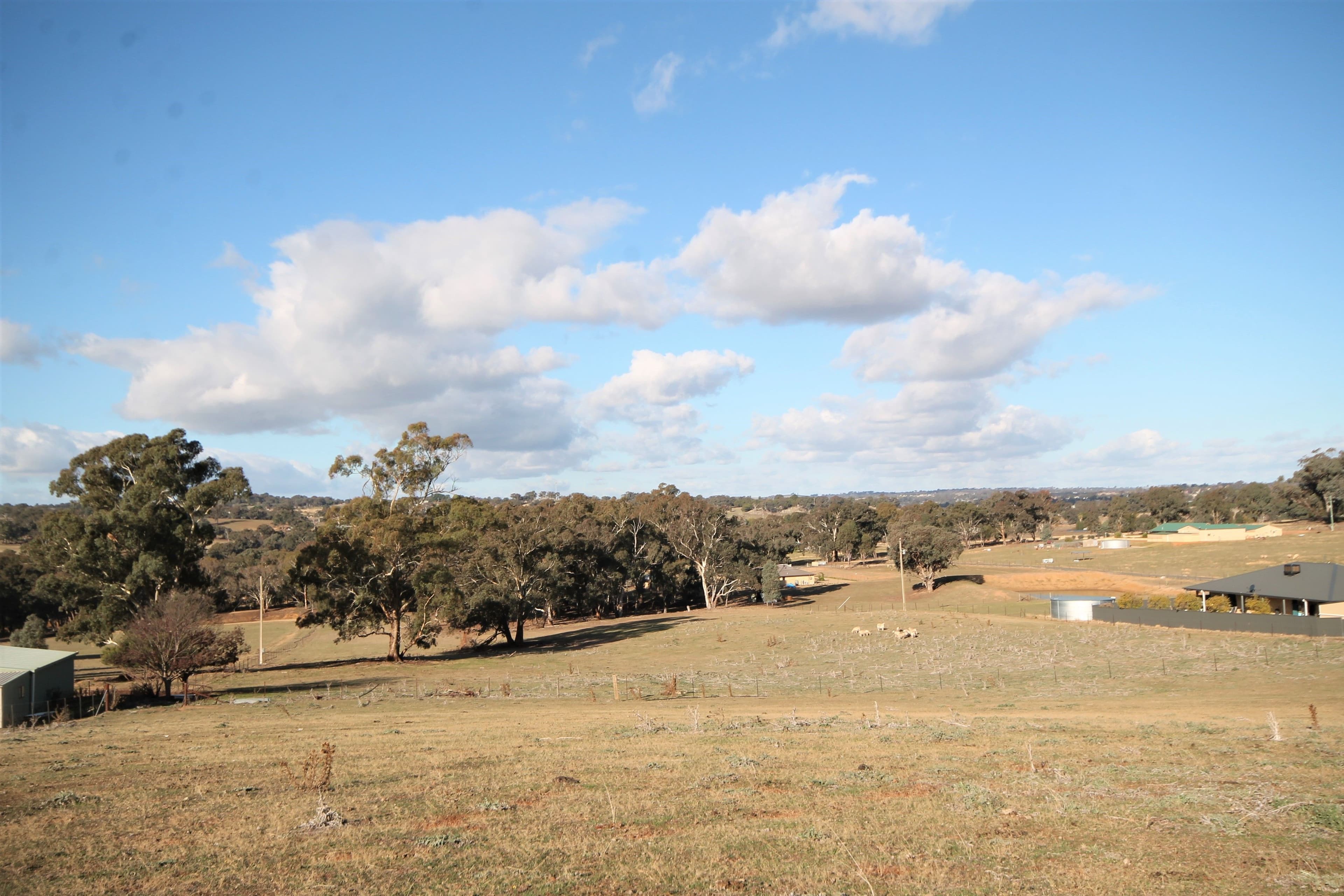 83 Thomsons Road, Young NSW 2594, Young - Thumbnail 8